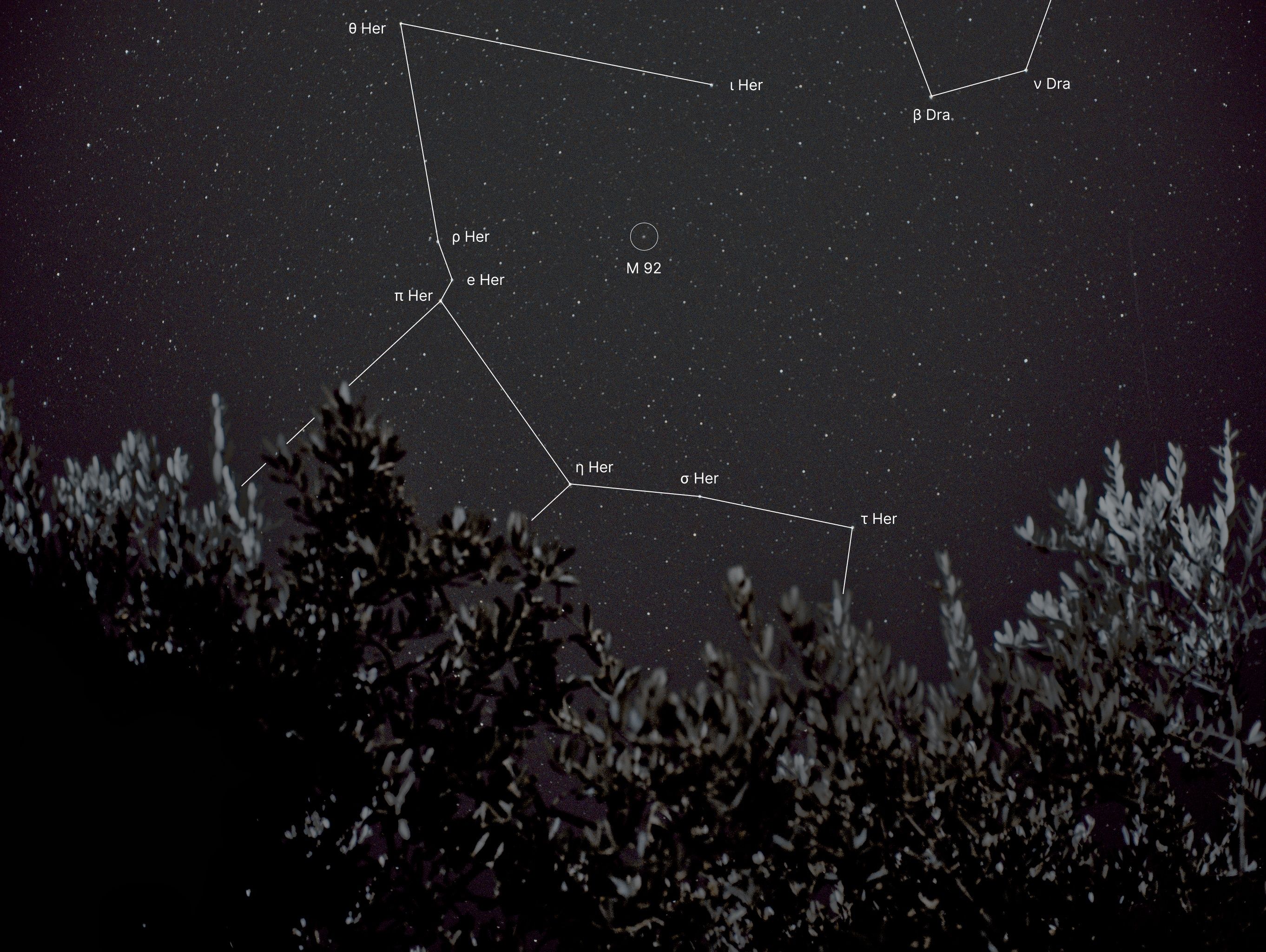 Hercules & M92 over Tree Silhouettes — constellation labels
