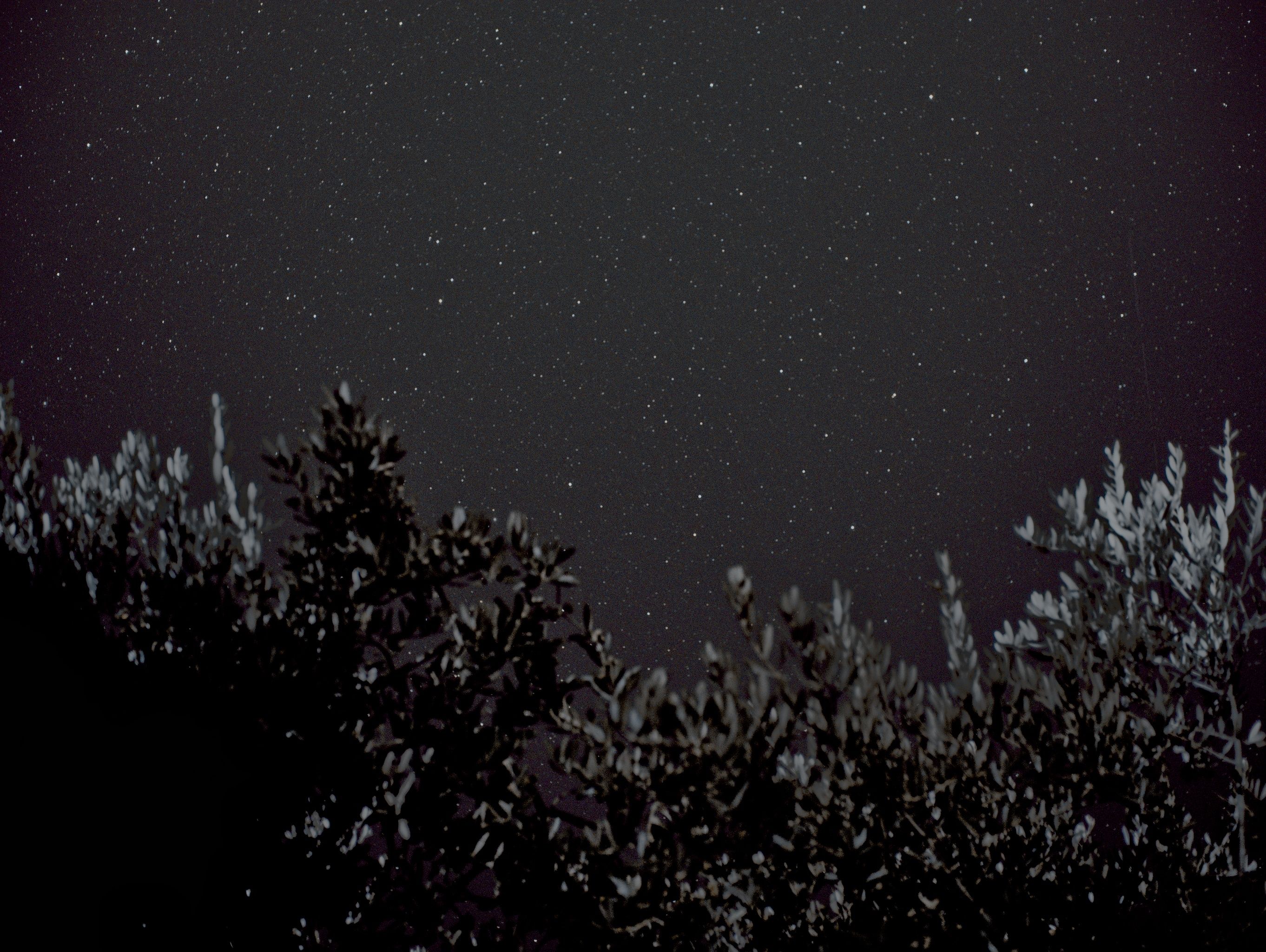 Hercules & M92 over Tree Silhouettes