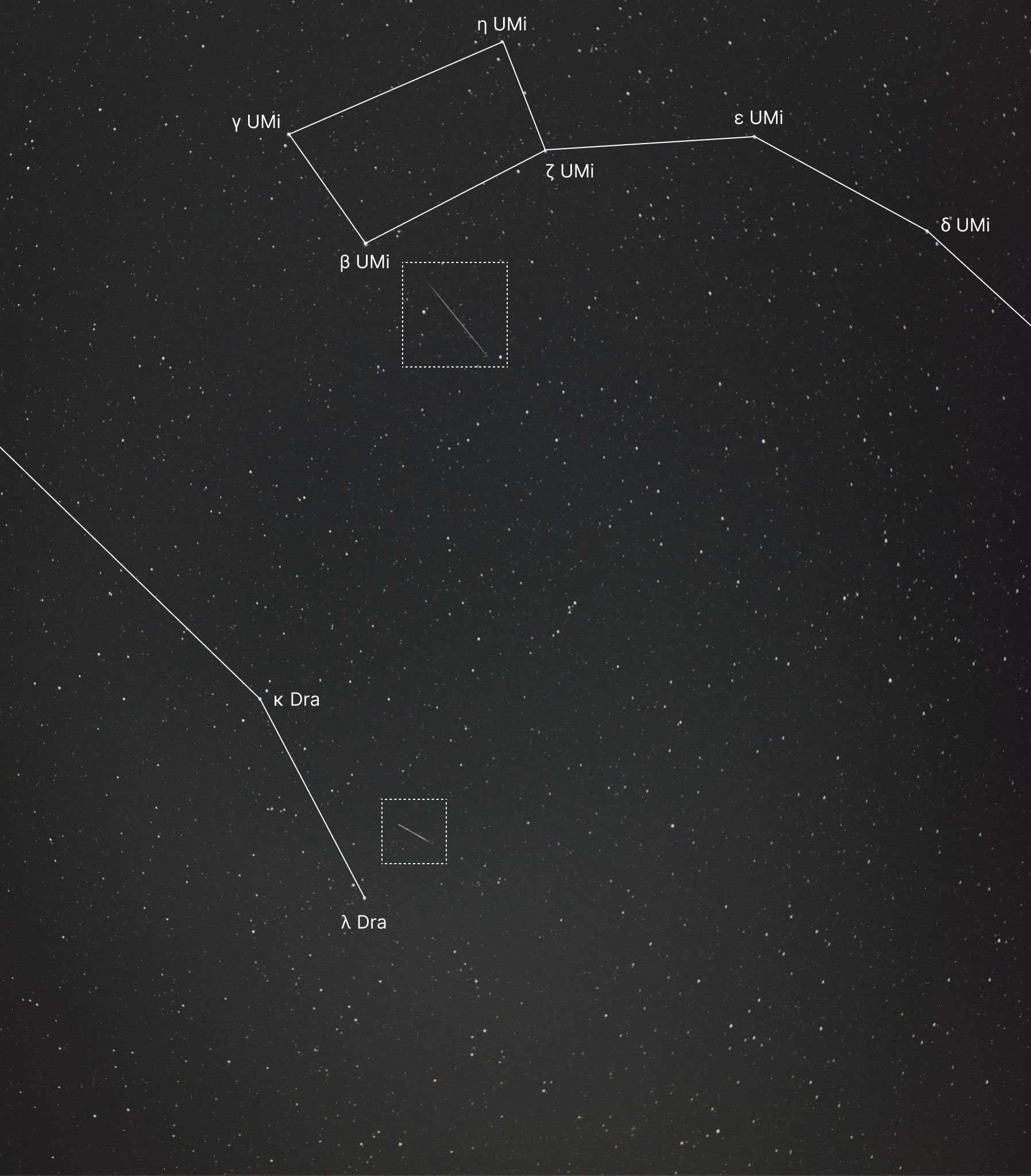 Perseids Trajectories: Draco & Ursa Minor — constellation labels