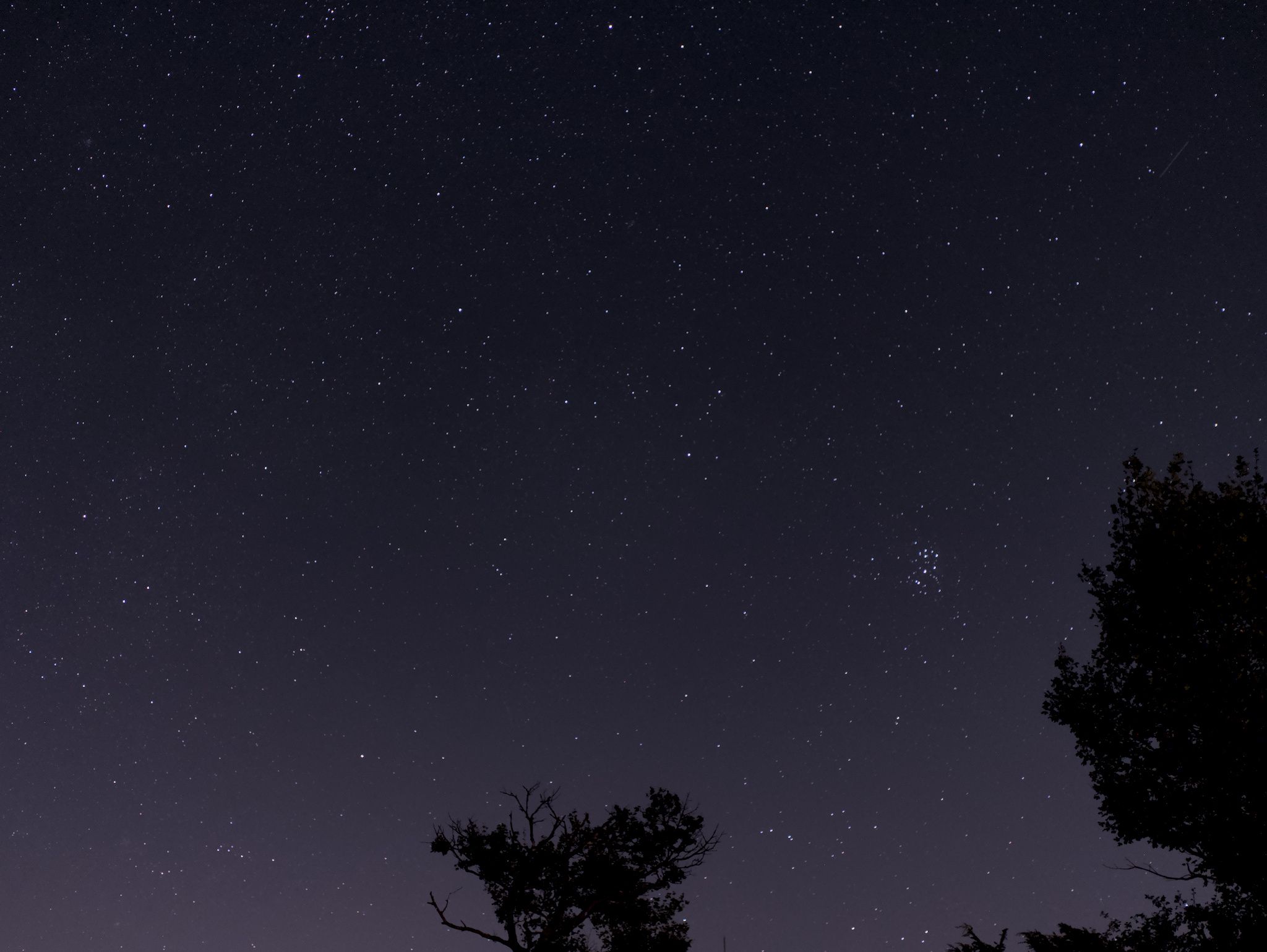 The Pleiades