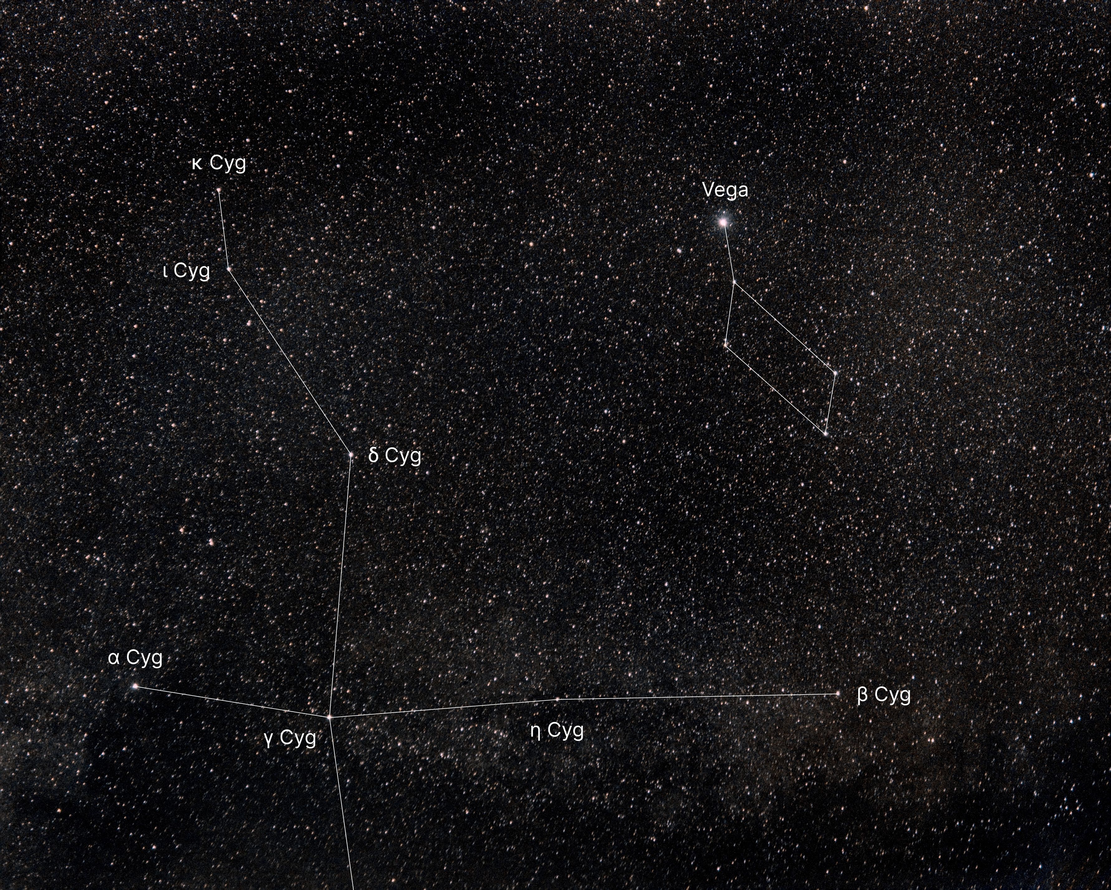 Cygnus Widefield — constellation labels