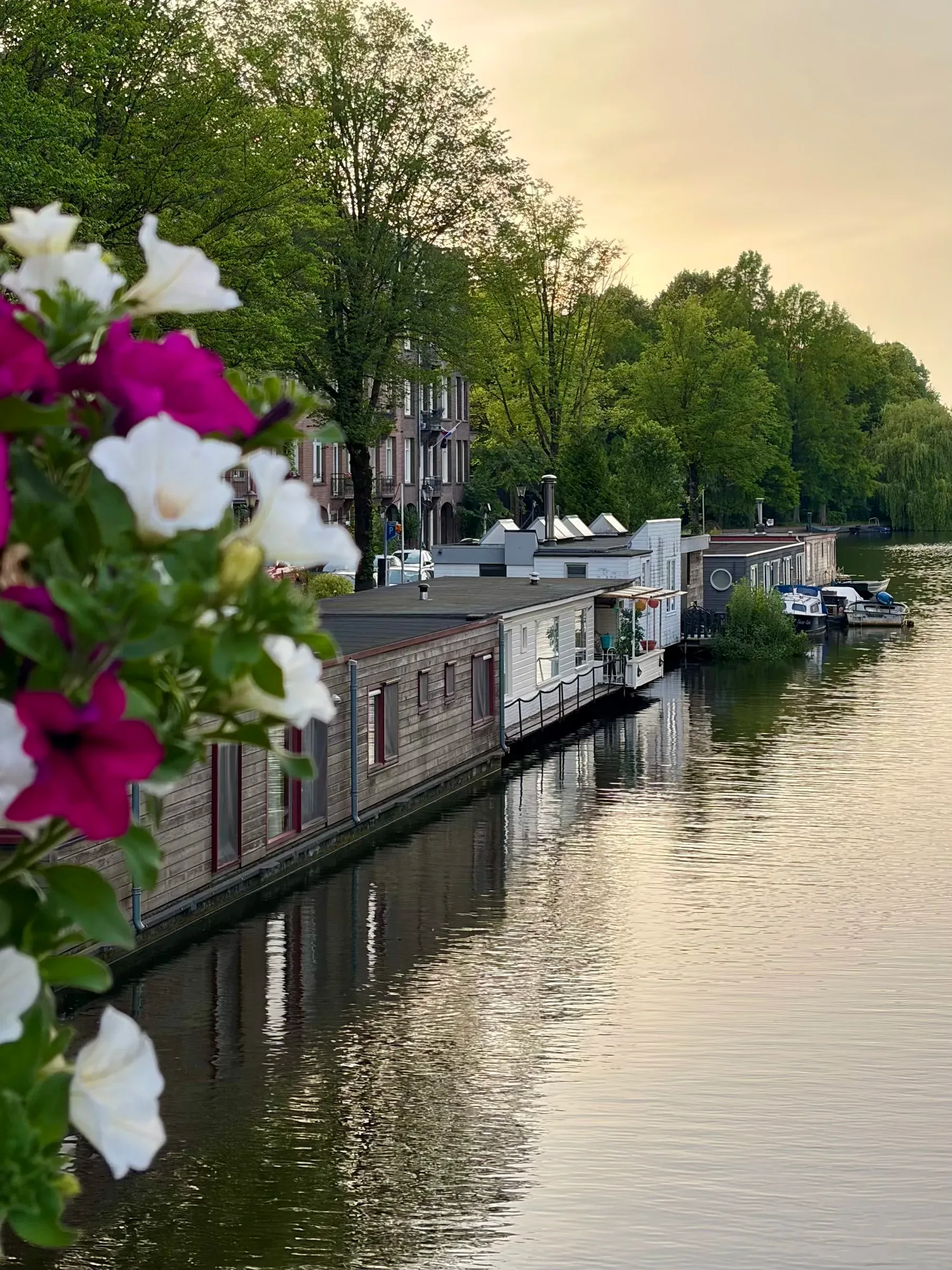 Amsterdam canal with boats and brick facades