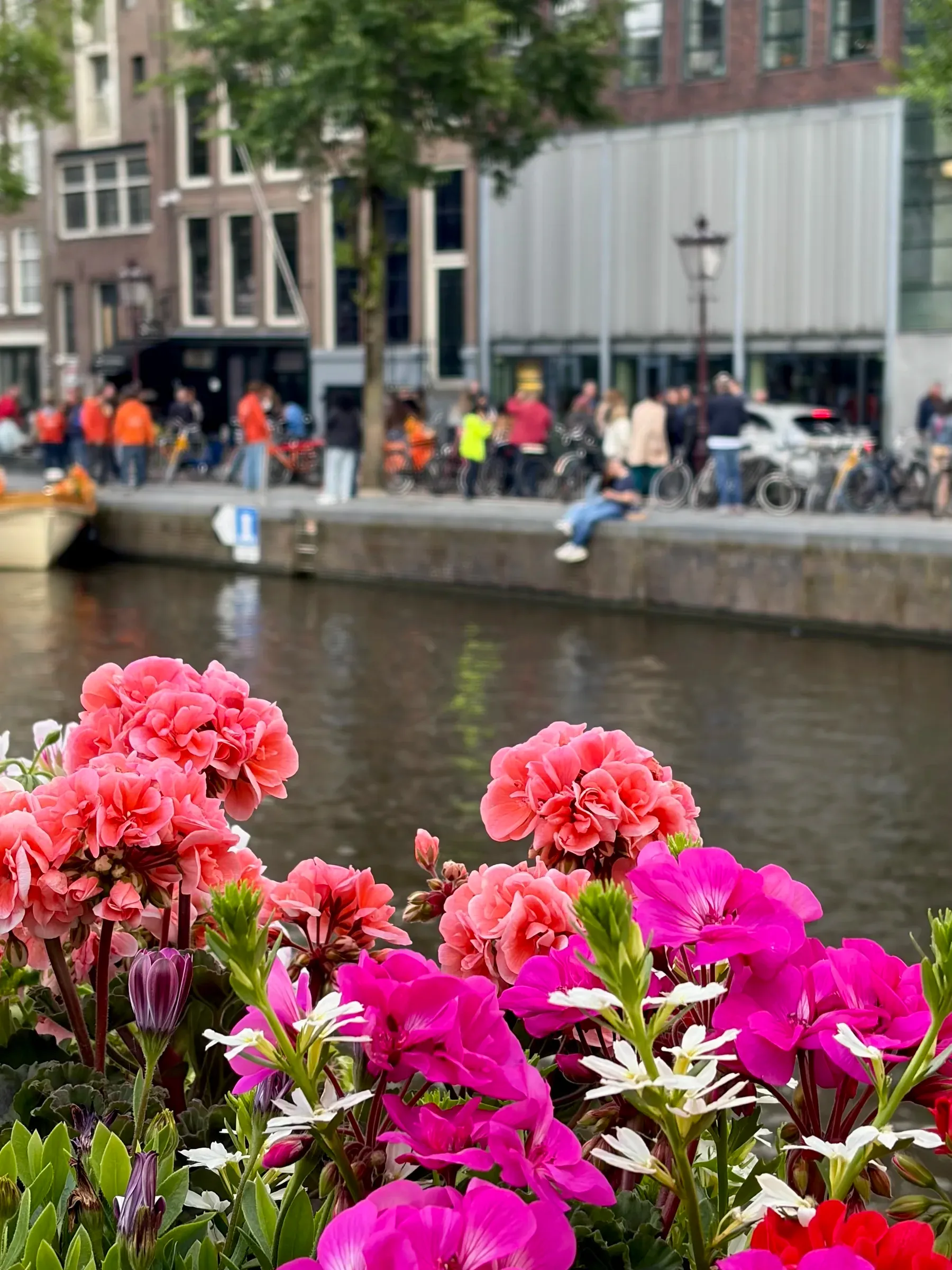 Flowers along Prinsengracht