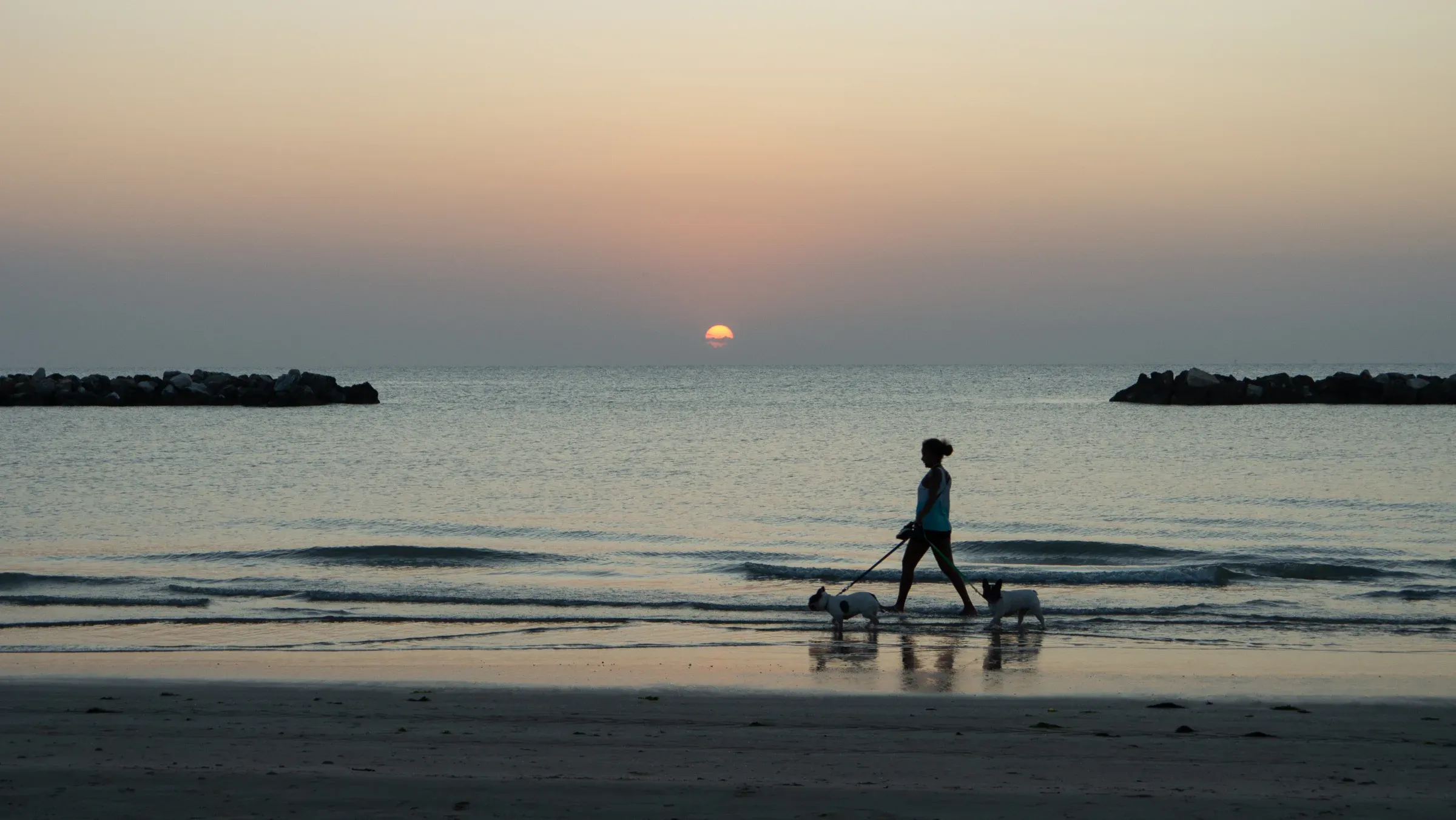 Silhouette of a woman walking two dogs along the wet beach at sunrise