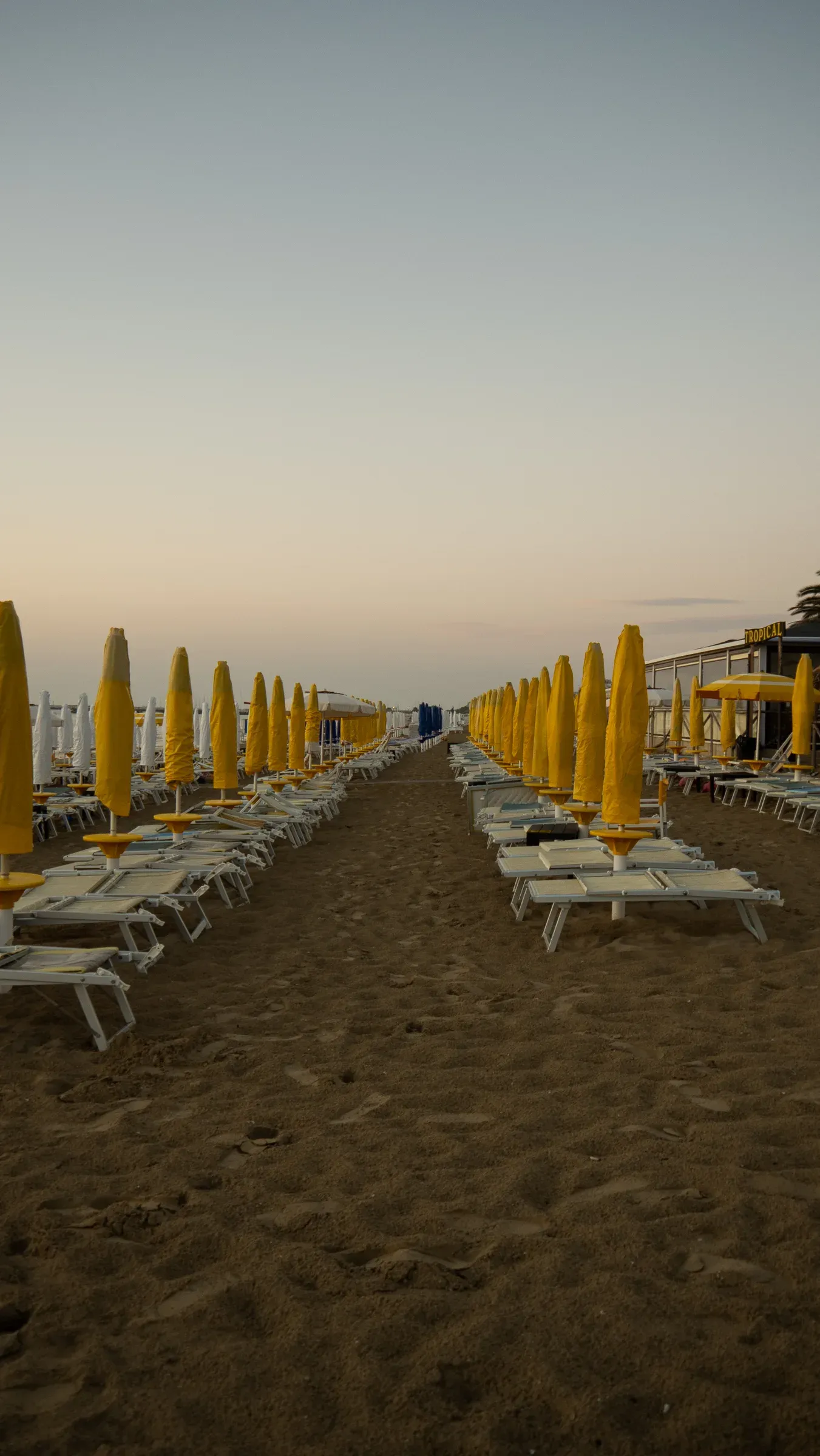 Rows of closed yellow beach umbrellas along an empty sandy path at twilight