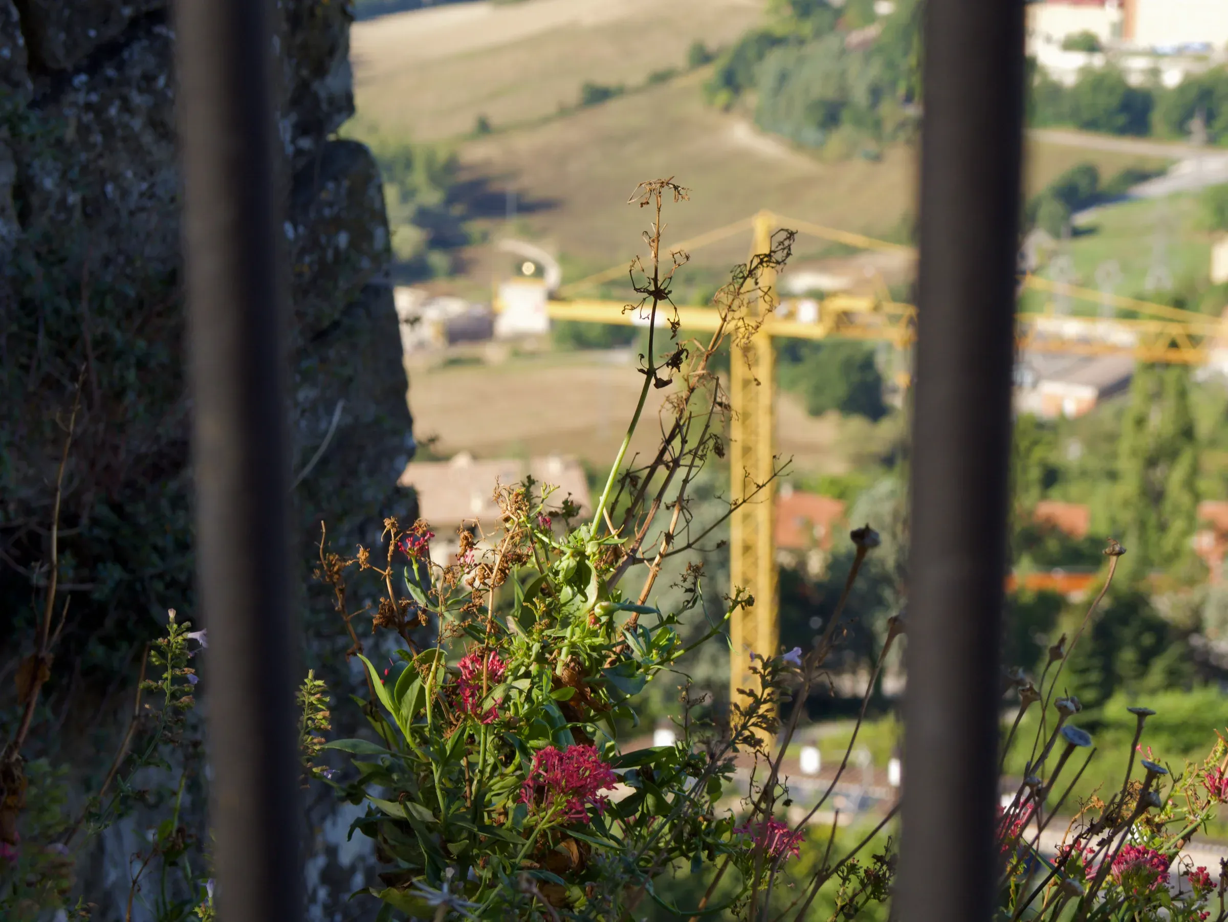 Camerino & Rocca Borgesca — 8