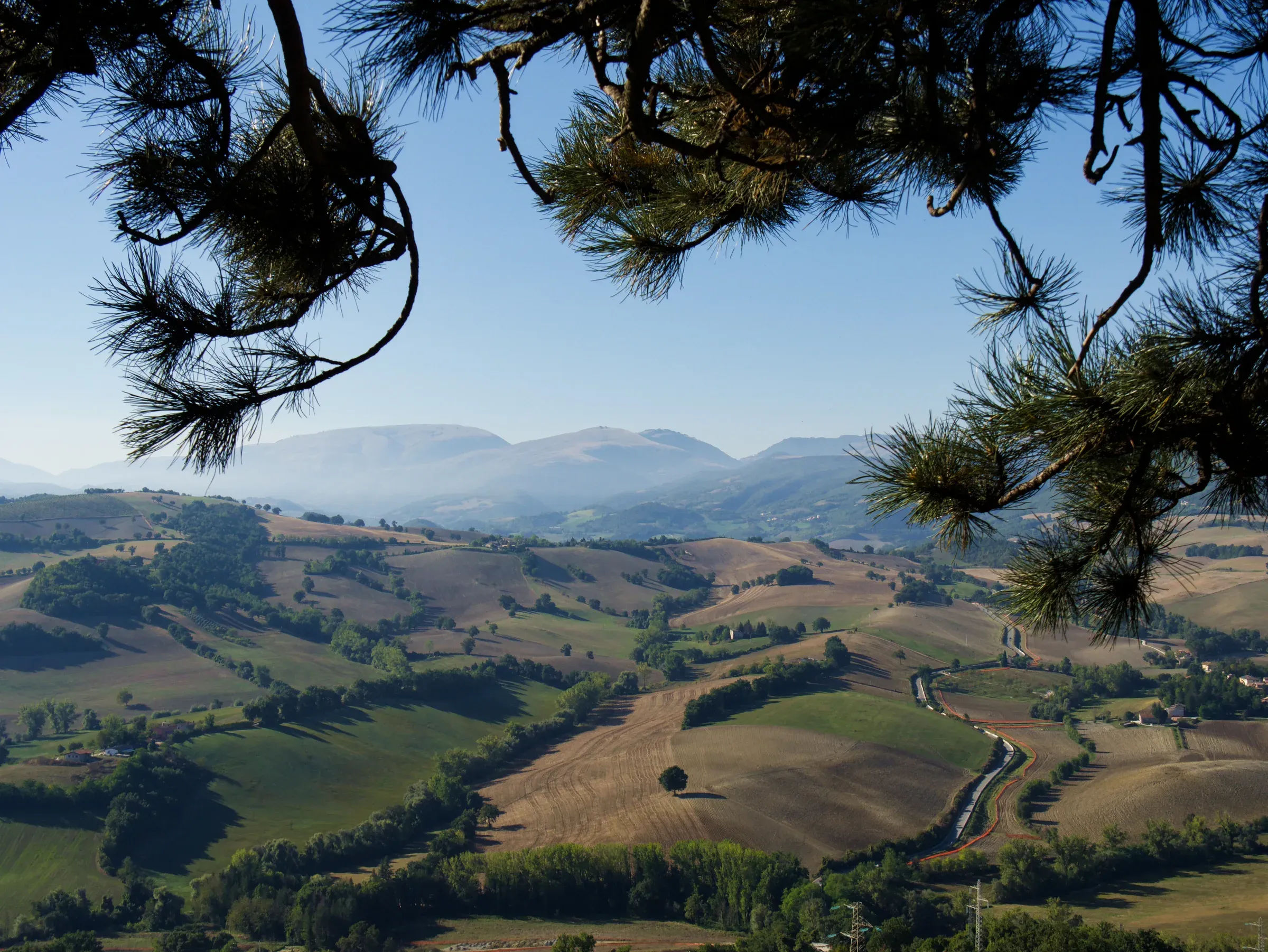 Camerino & Rocca Borgesca — 9