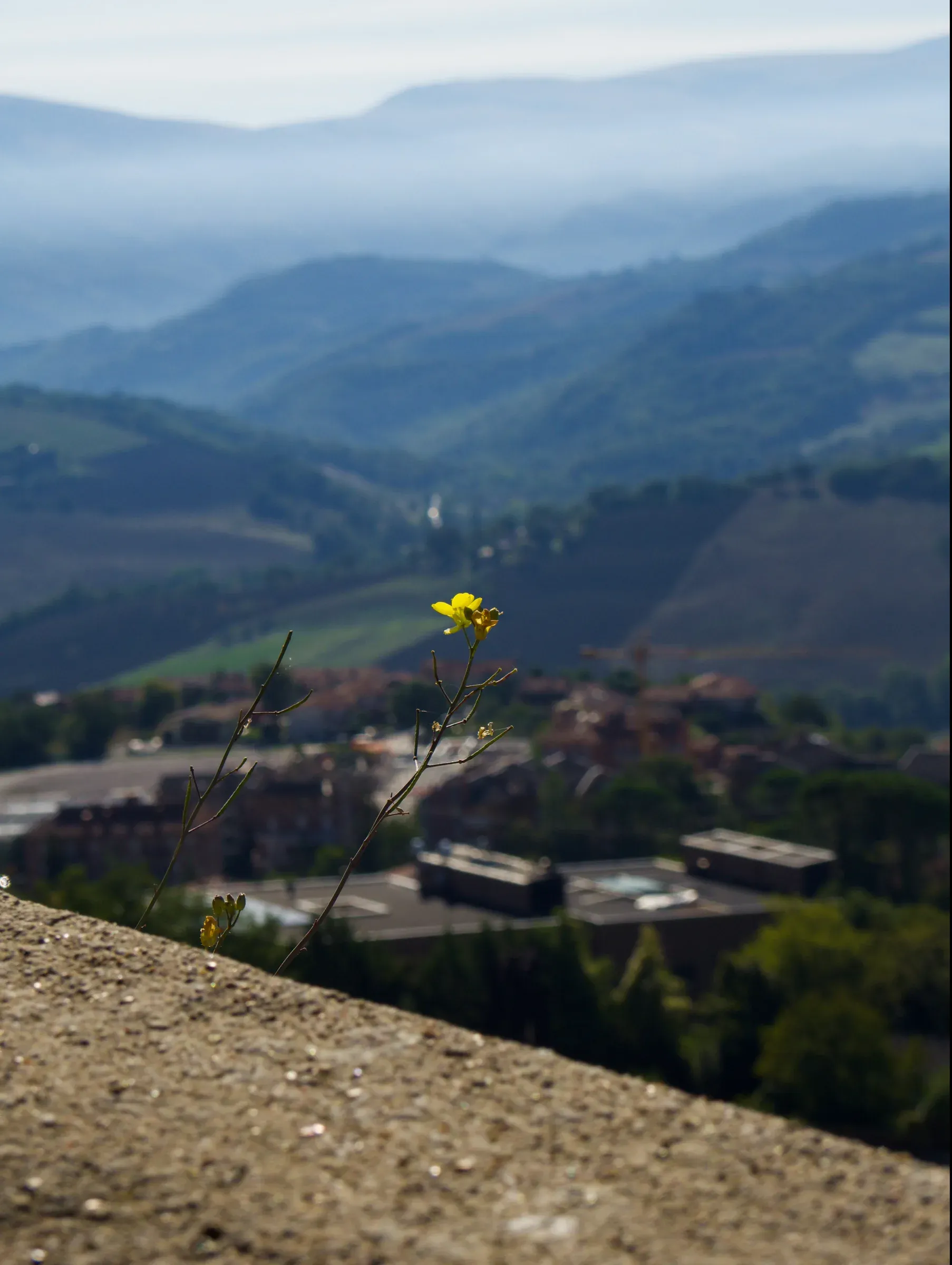 Camerino & Rocca Borgesca — 10