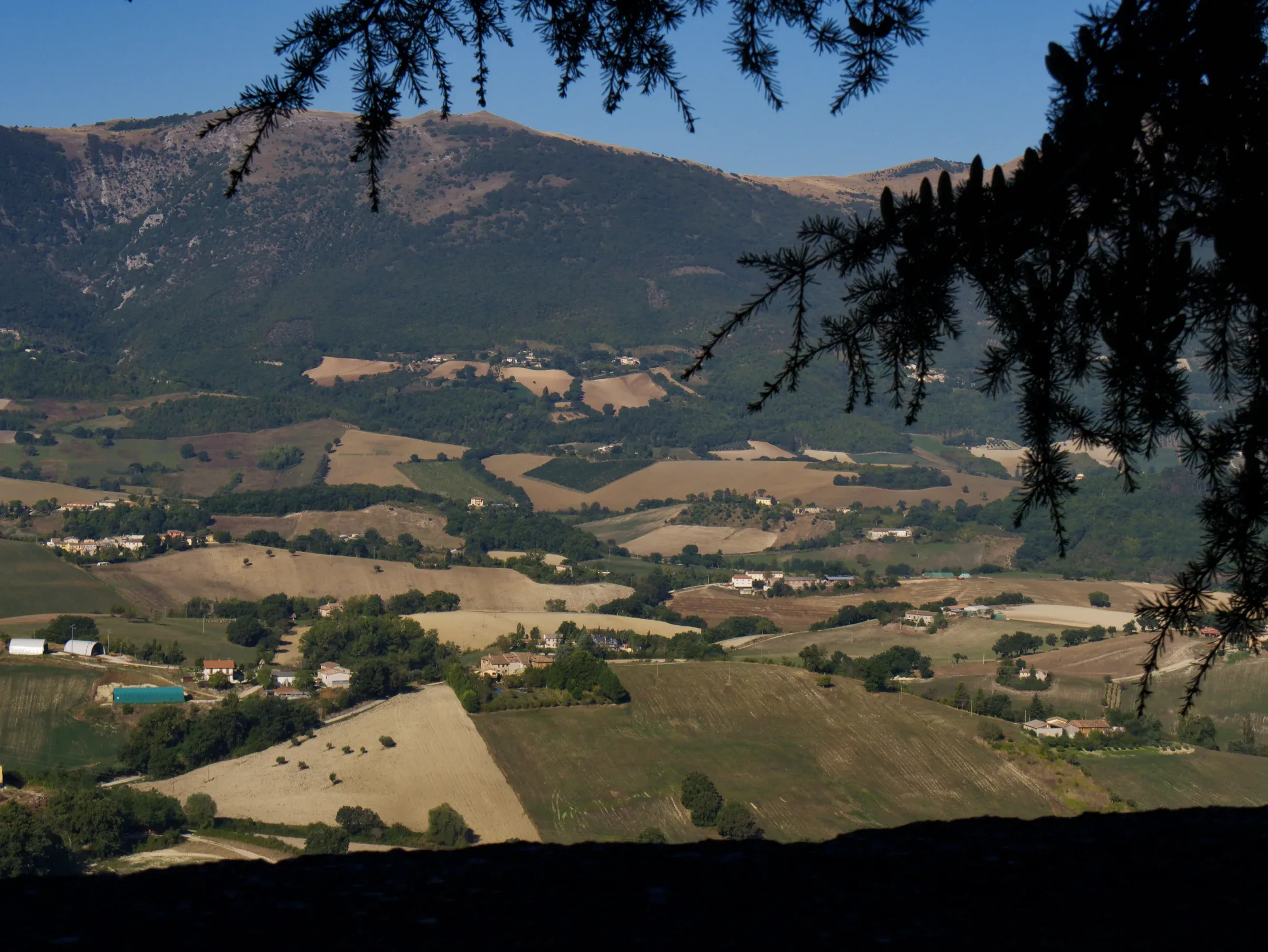 Camerino & Rocca Borgesca — 12