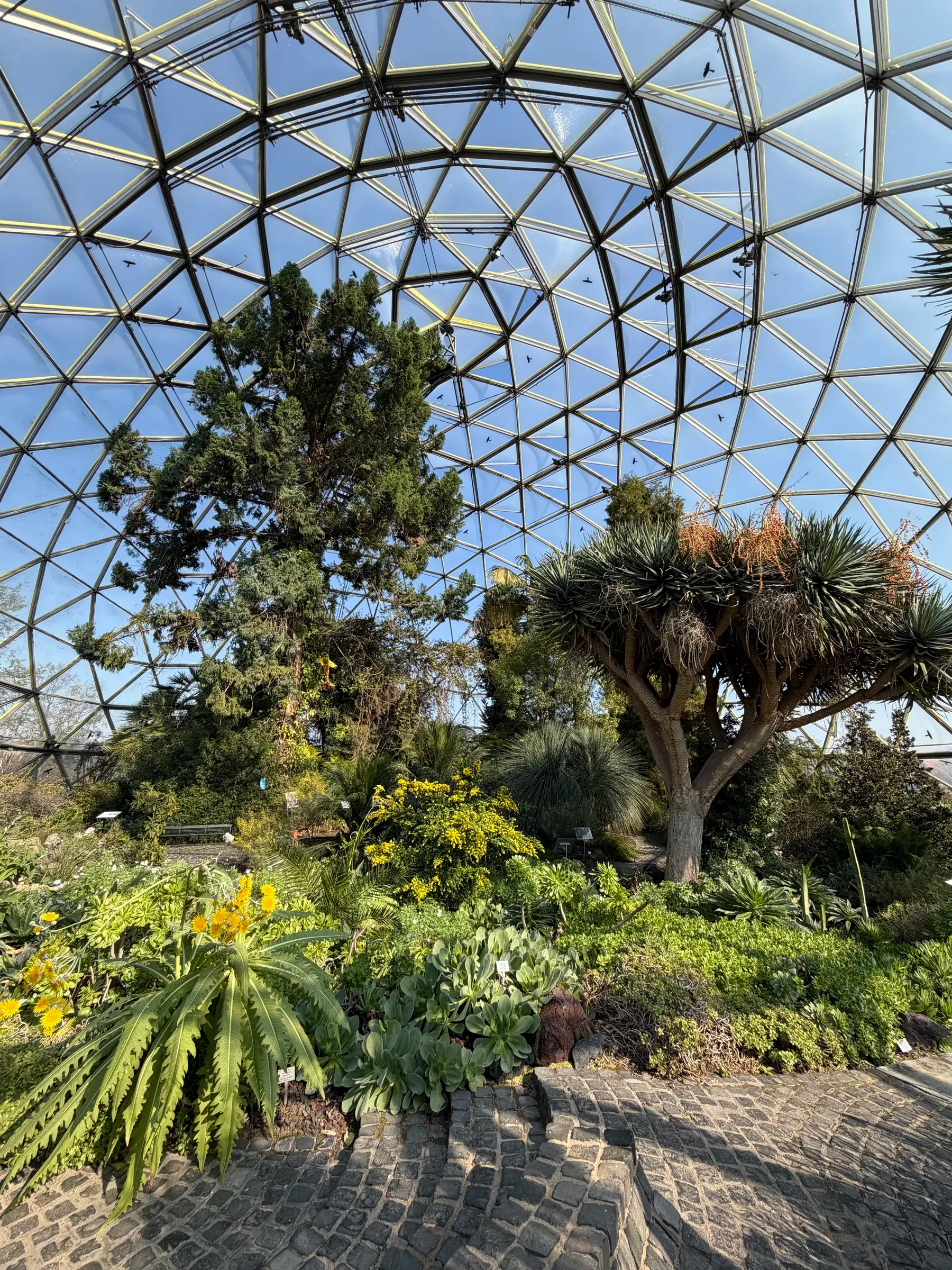 Botanical Garden in Düsseldorf