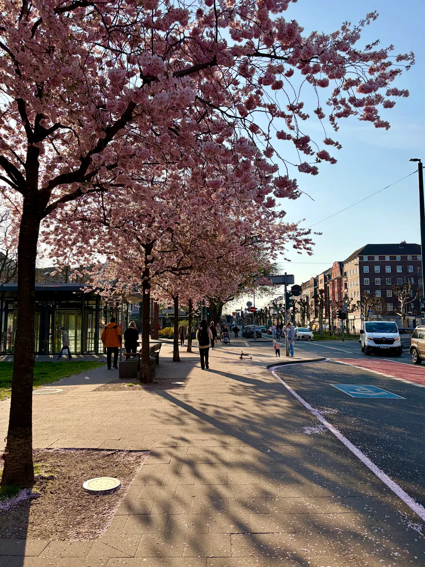 Luegallee near the Königsallee