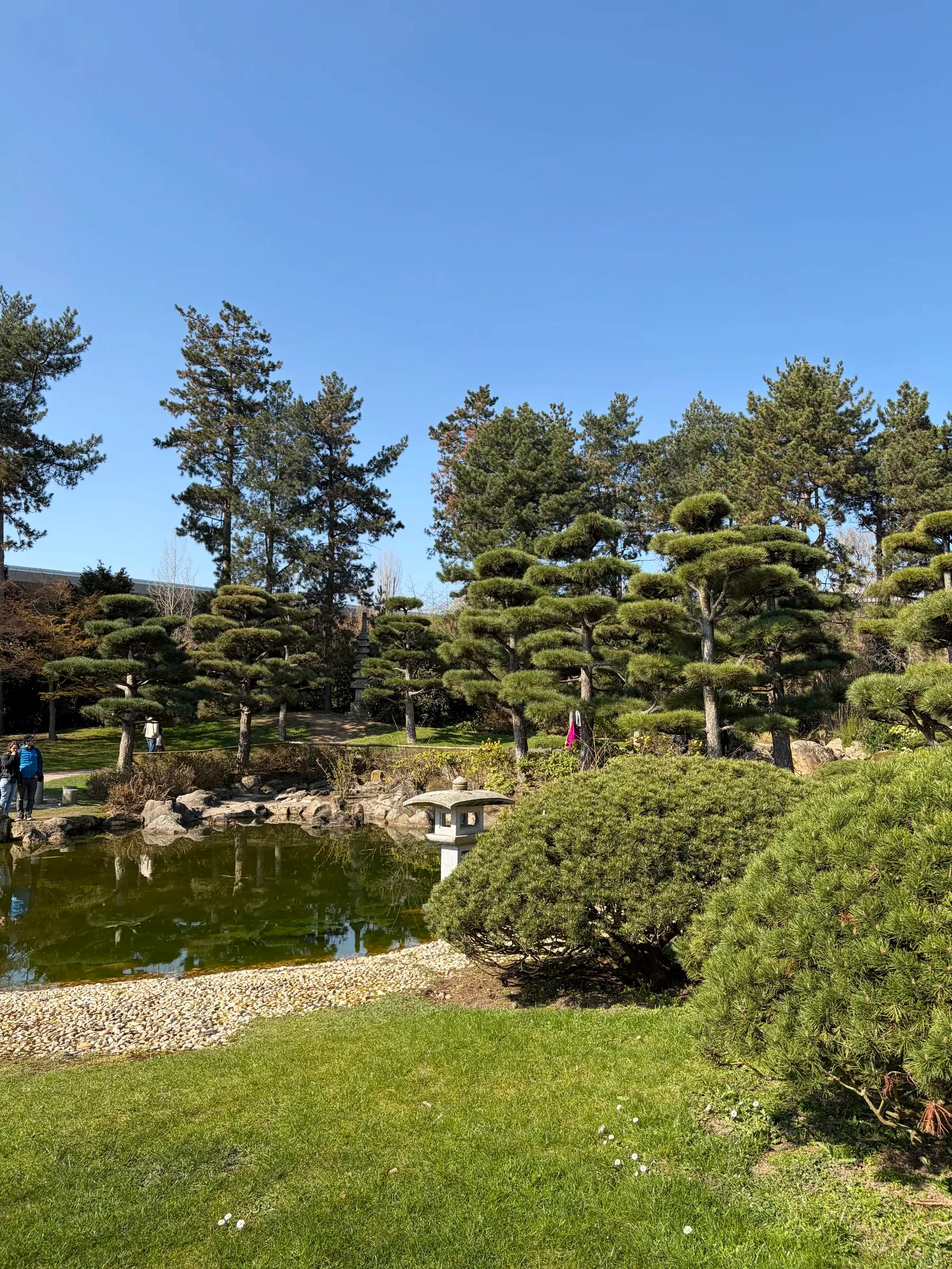 Nordpark lawns and tree-lined paths in Stockum