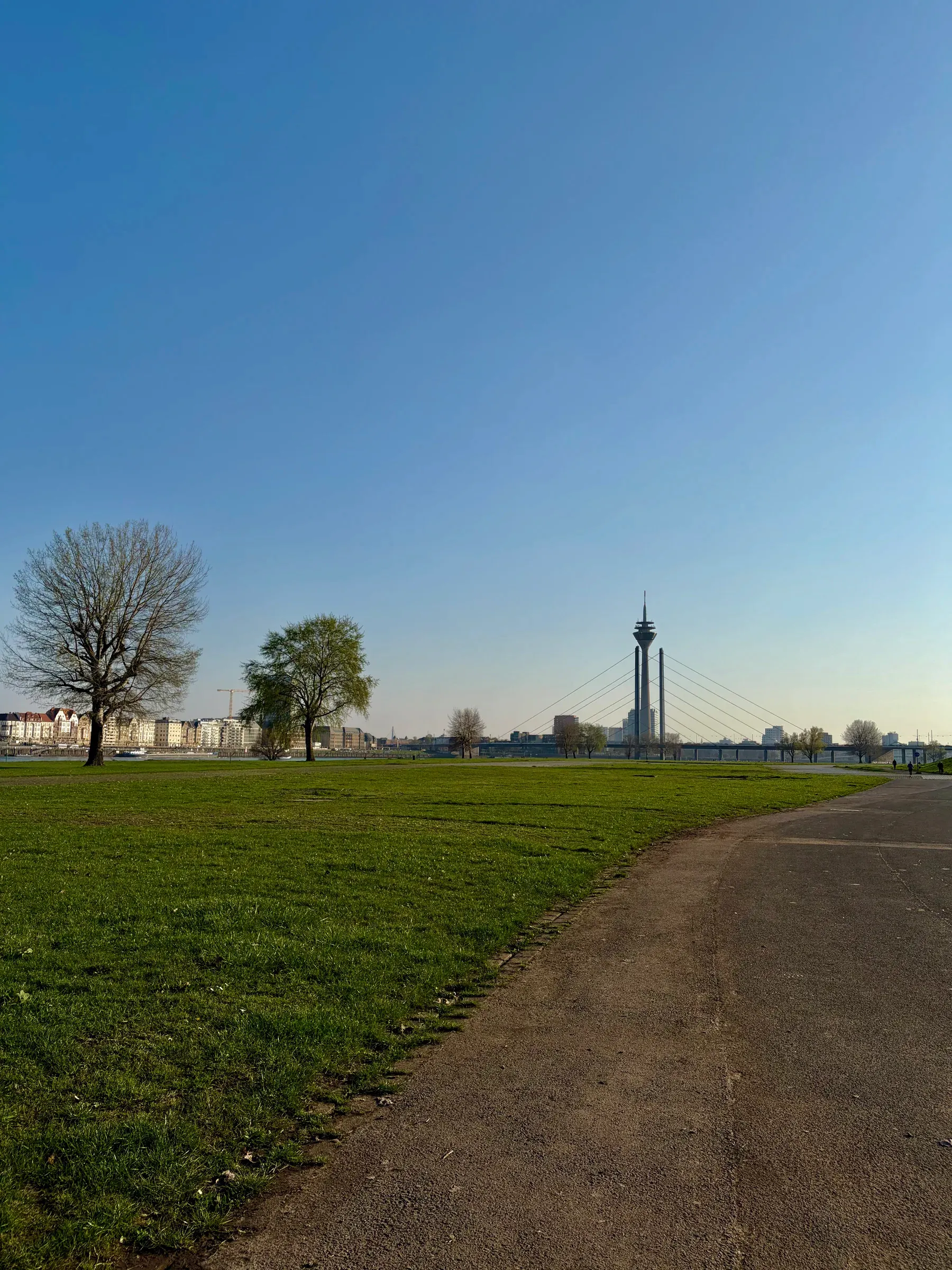 Rheinwiesen meadows in Niederkassel