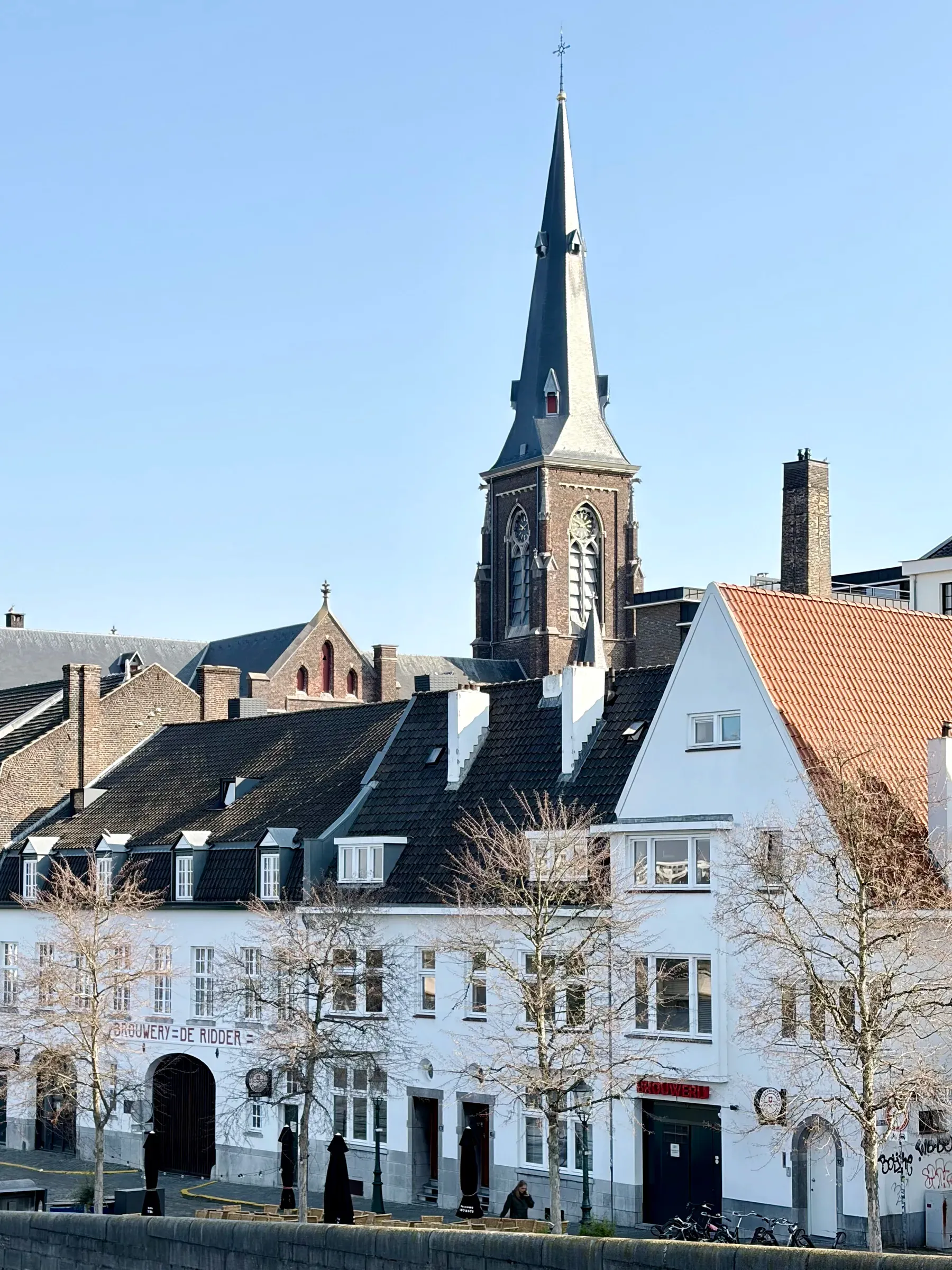 Sint Martinuskerk tower rising above white houses in Wyck