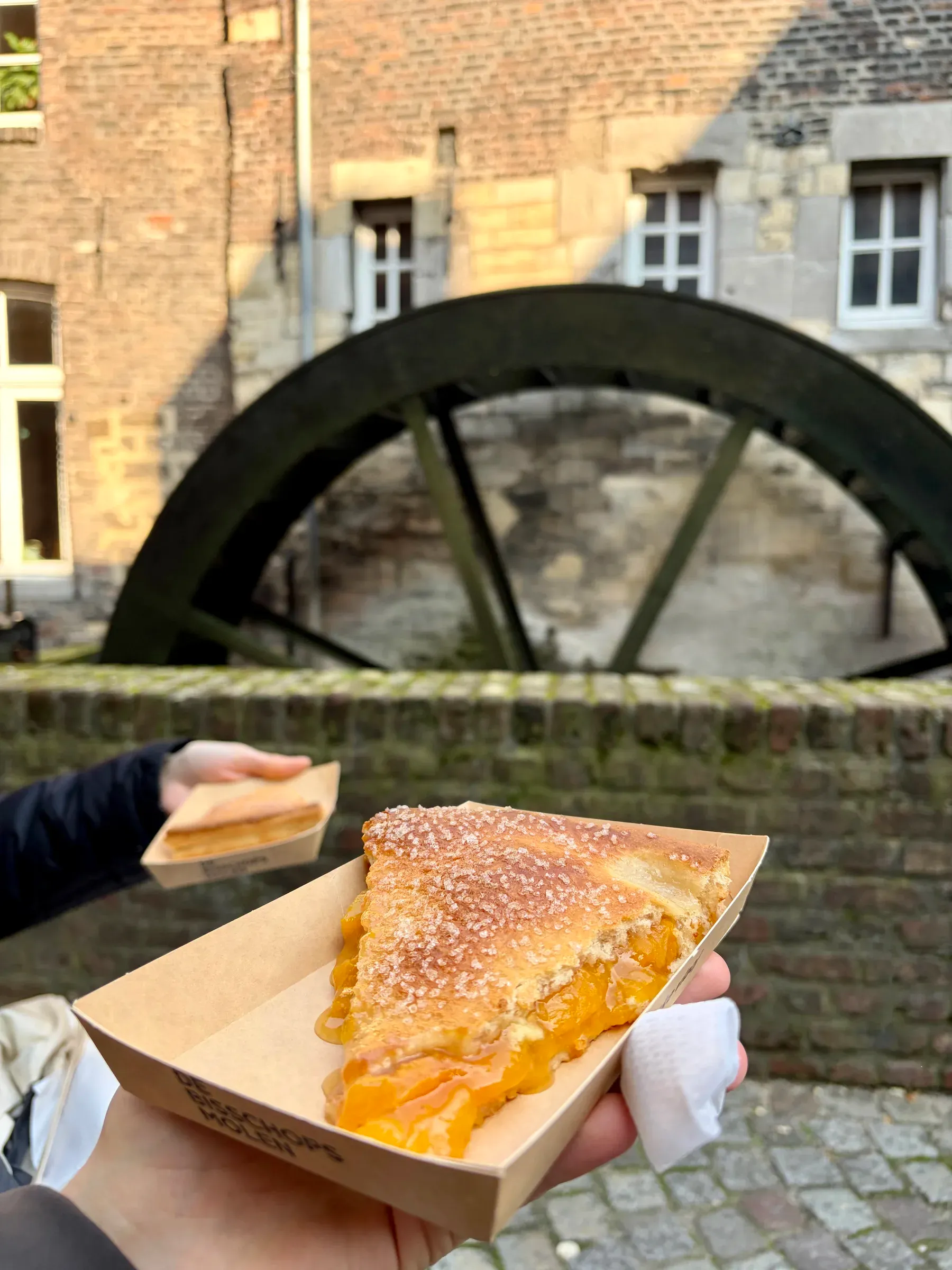 Slice of Limburgse vlaai held in front of the Bisschopsmolen water wheel