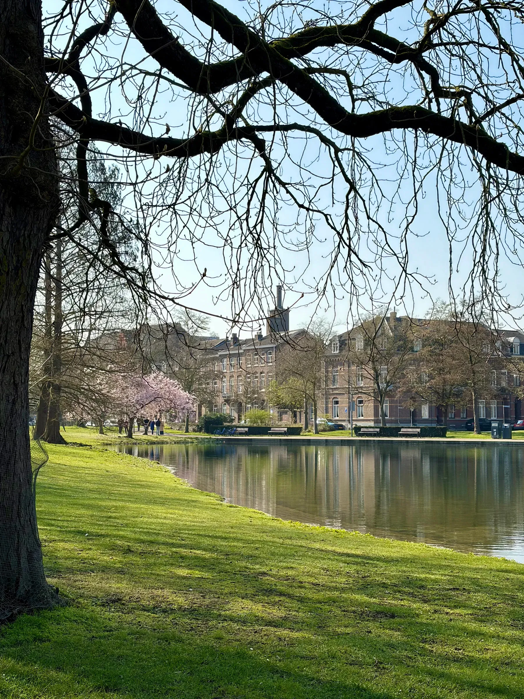 Path and footbridge through Stadspark in early spring
