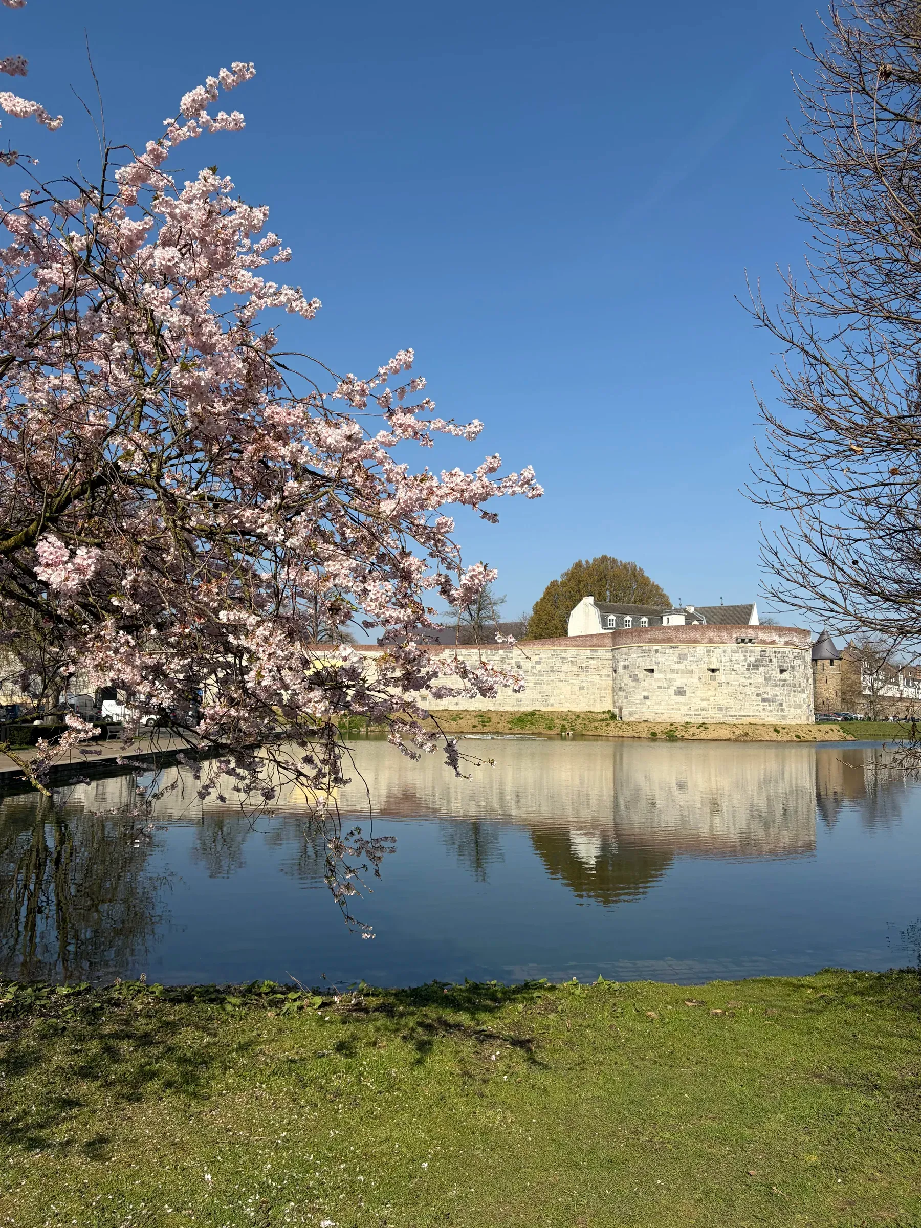 Pond, lawn, and old wall in Stadspark under bare trees