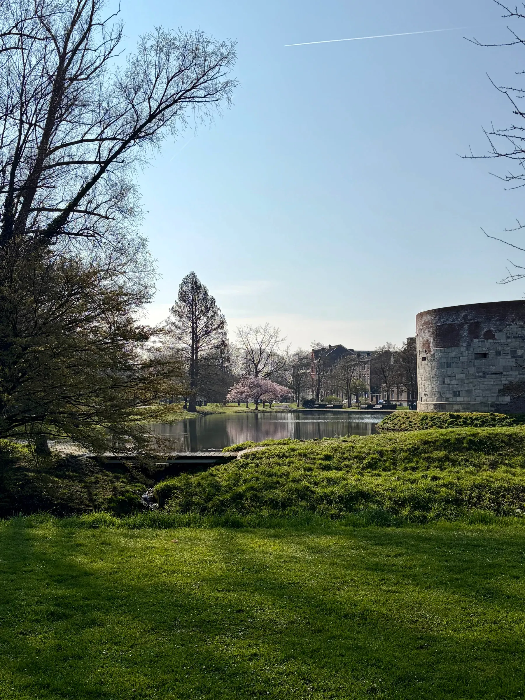 Spring blossom reflected in the Stadspark pond beside the old wall
