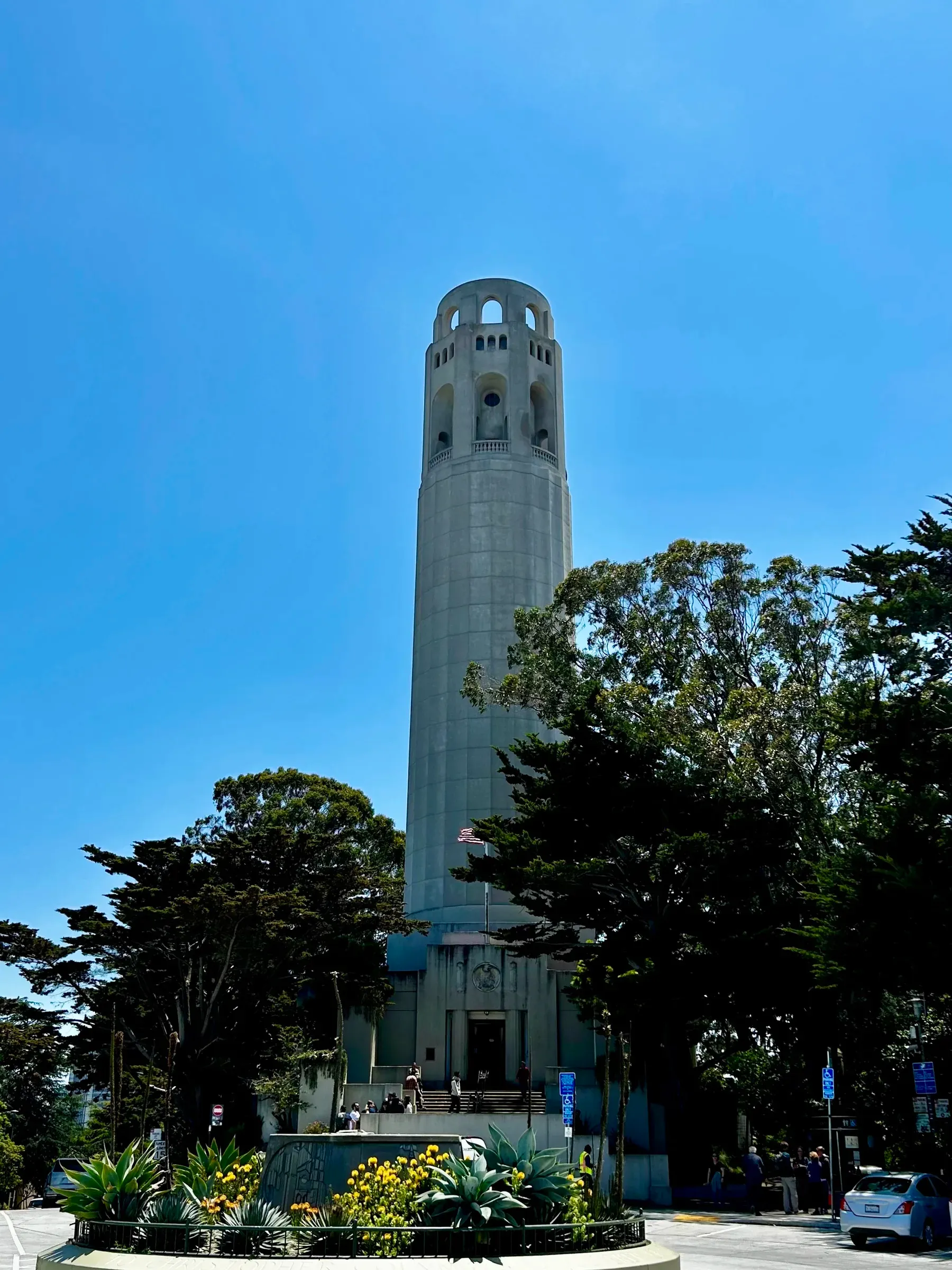 Coit Tower rising above trees on Telegraph Hill