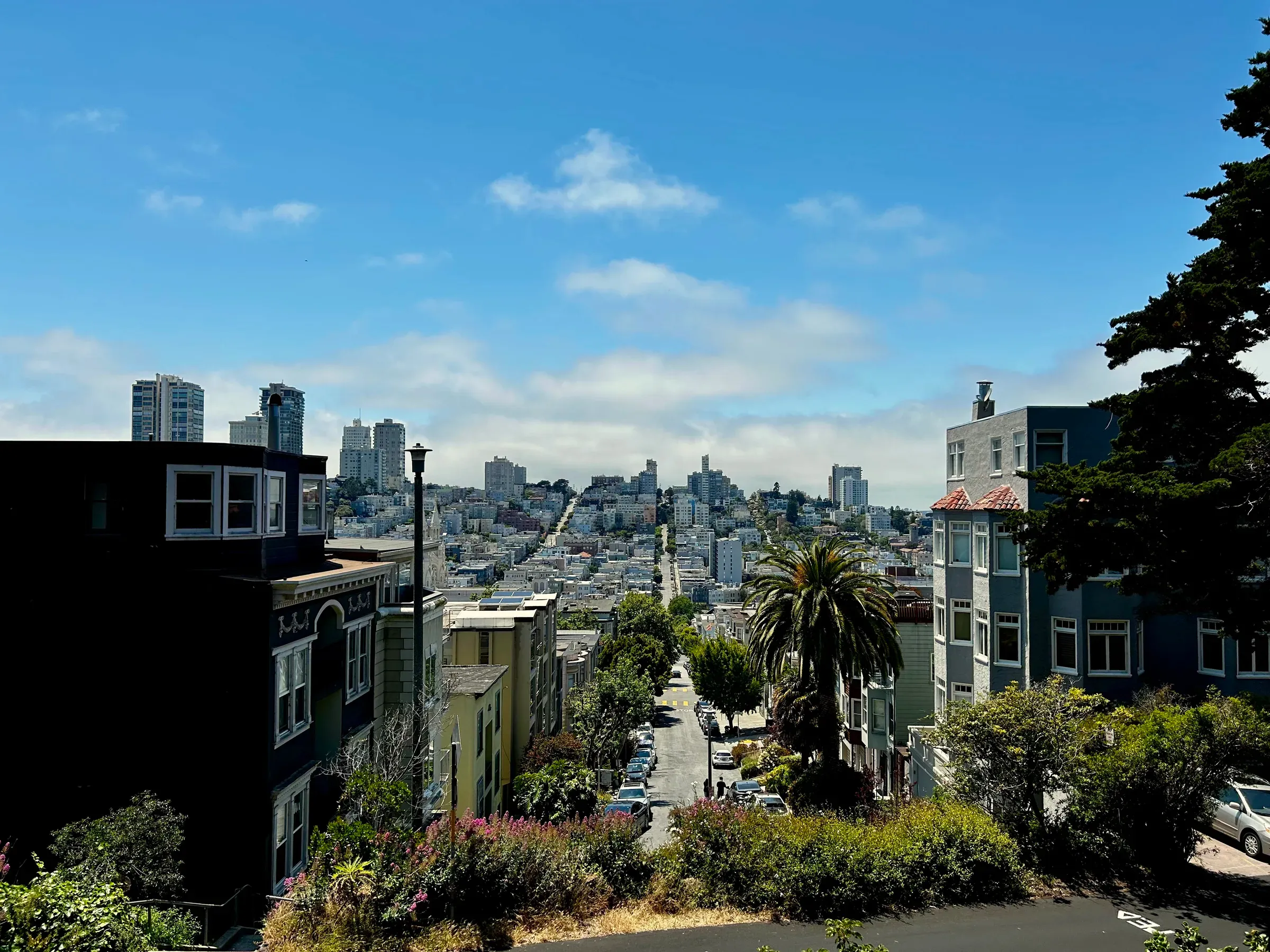 Wide view over North Beach rooftops and downtown San Francisco