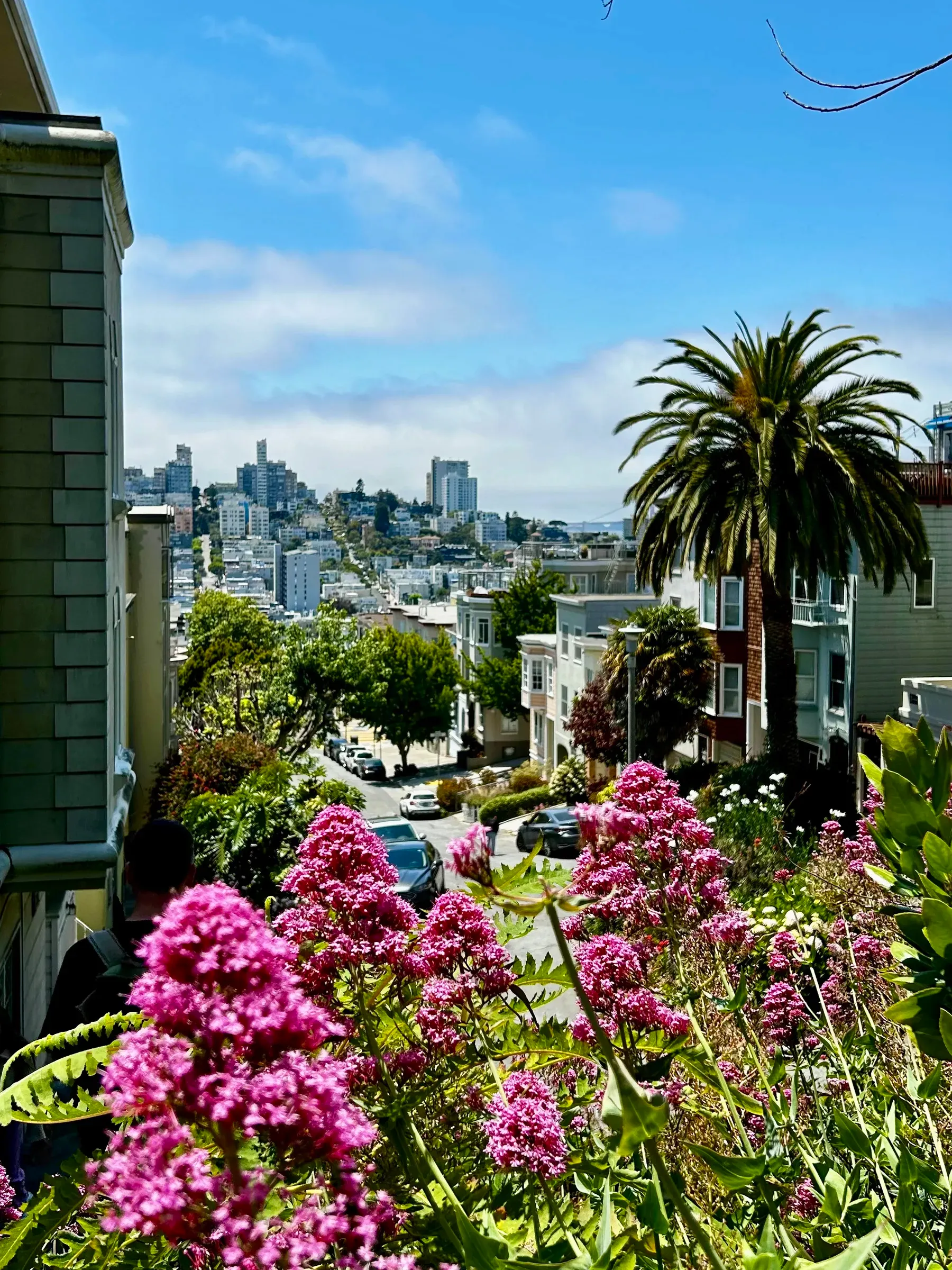 Filbert Street in North Beach sloping uphill toward Art Deco Coit Tower