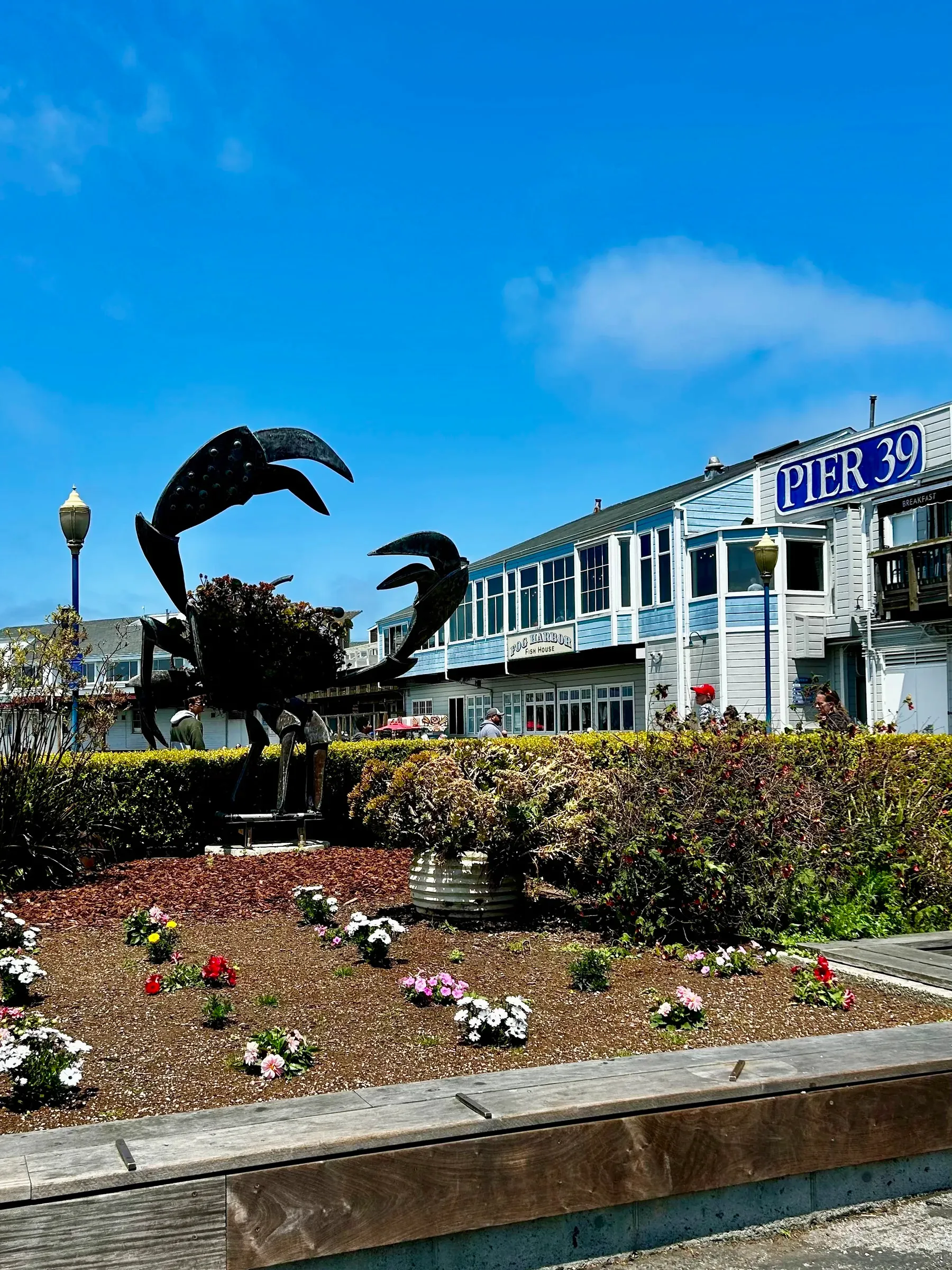 Large crab sculpture sign near Pier 39