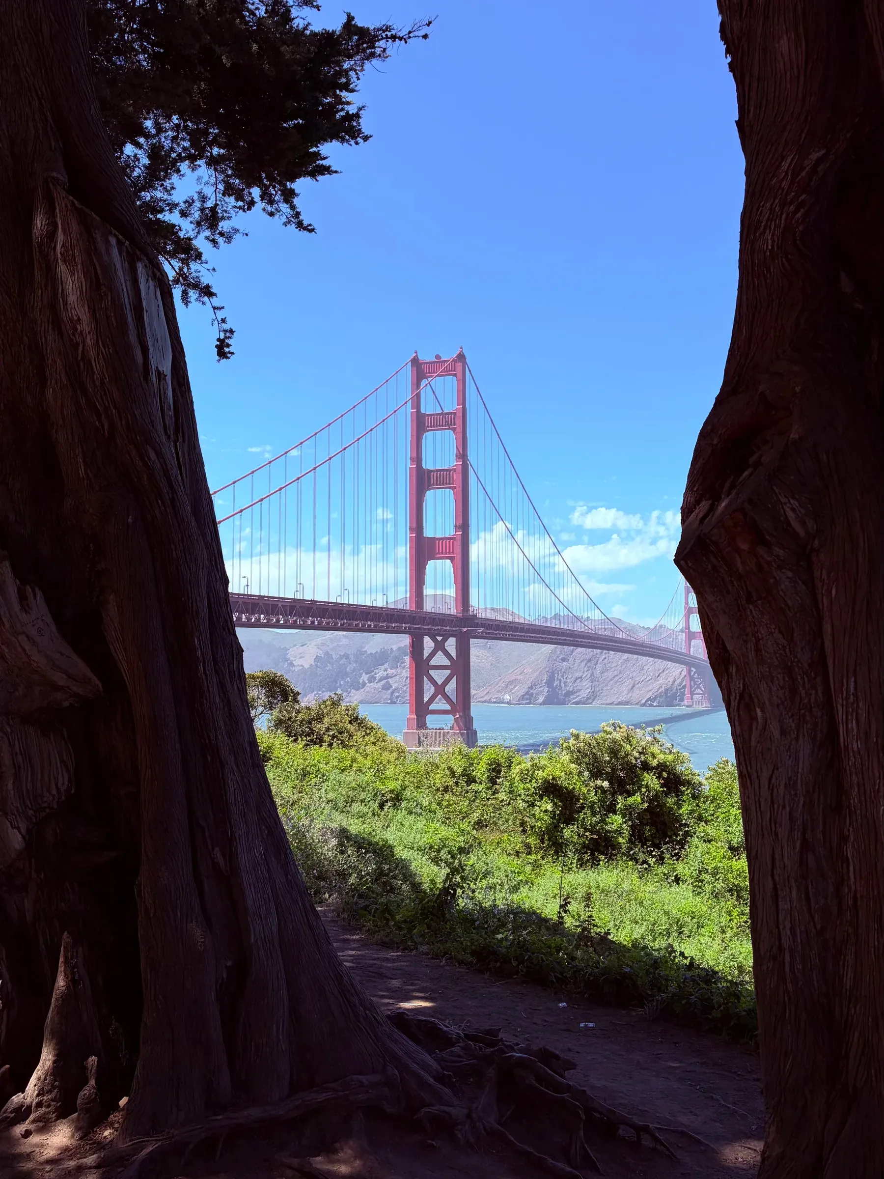 Summers in San Francisco