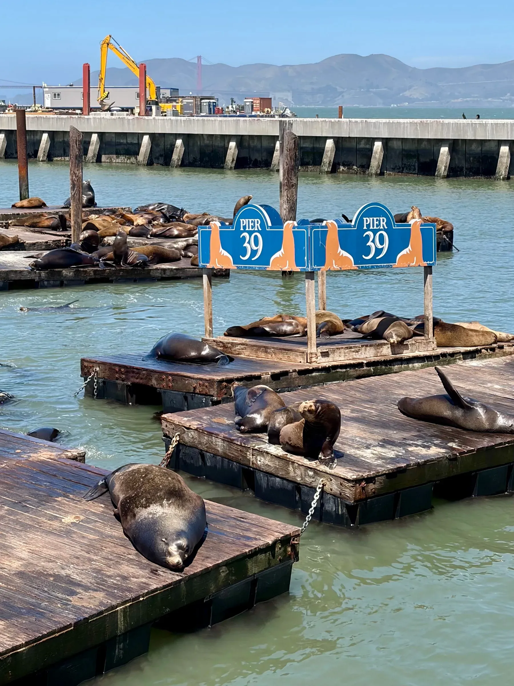 Pier 39 wooden docks and moored boats under a clear blue sky