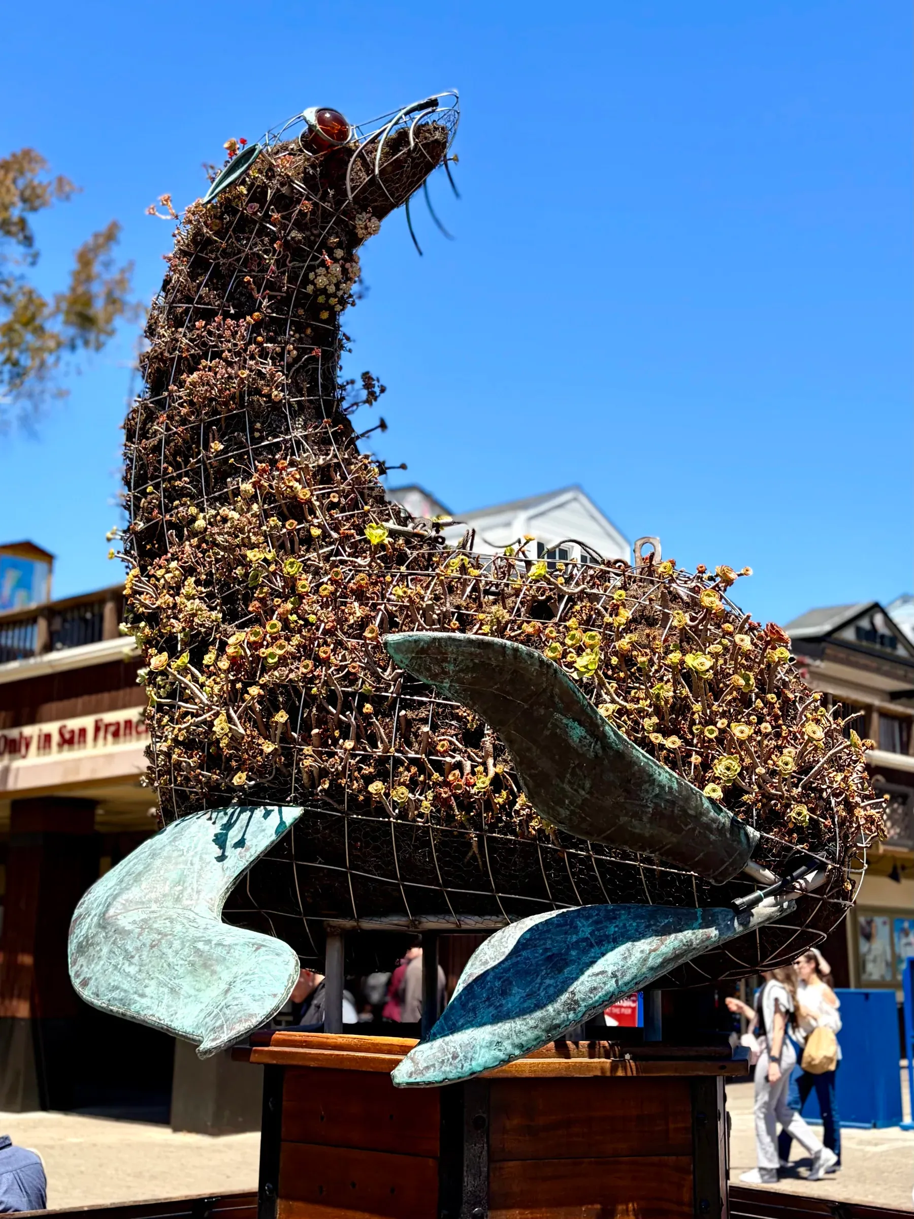 Bronze sea lion statue and visitor crowds along Pier 39