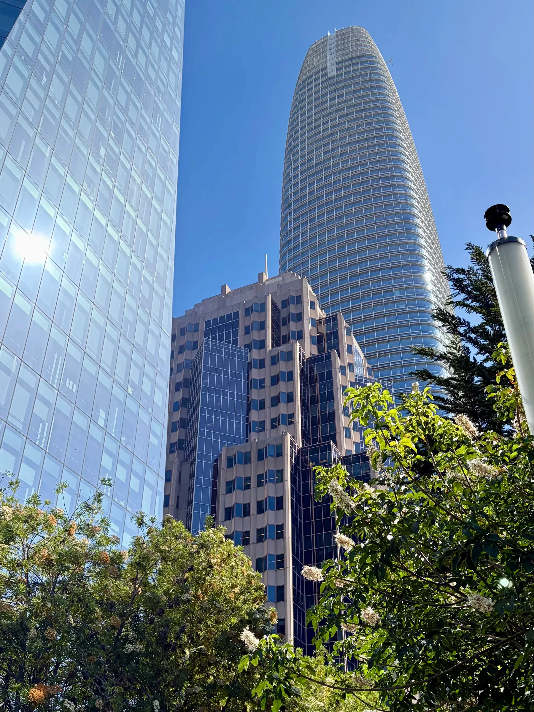 Curved glass facade of the Transit Center alongside Salesforce Park