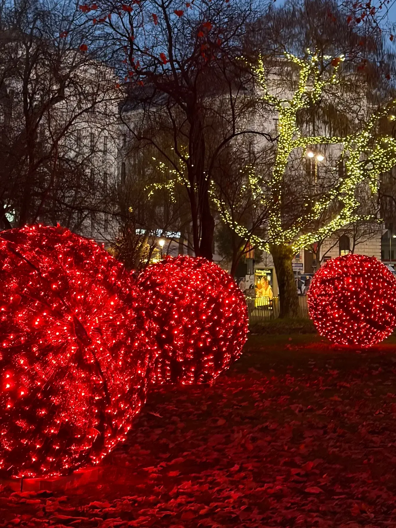 Red illuminated heart decorations in Rathauspark
