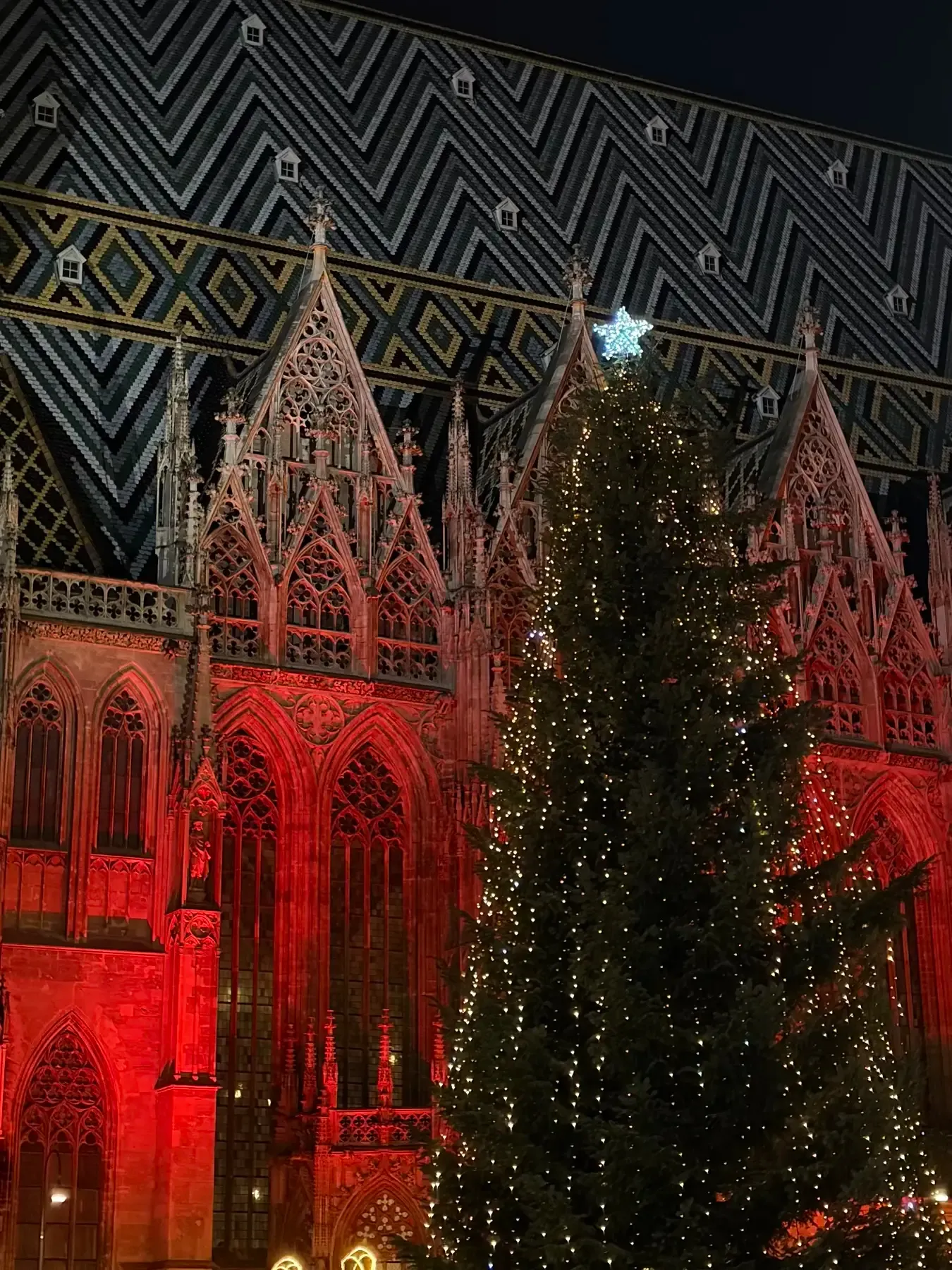 Christmas in Vienna