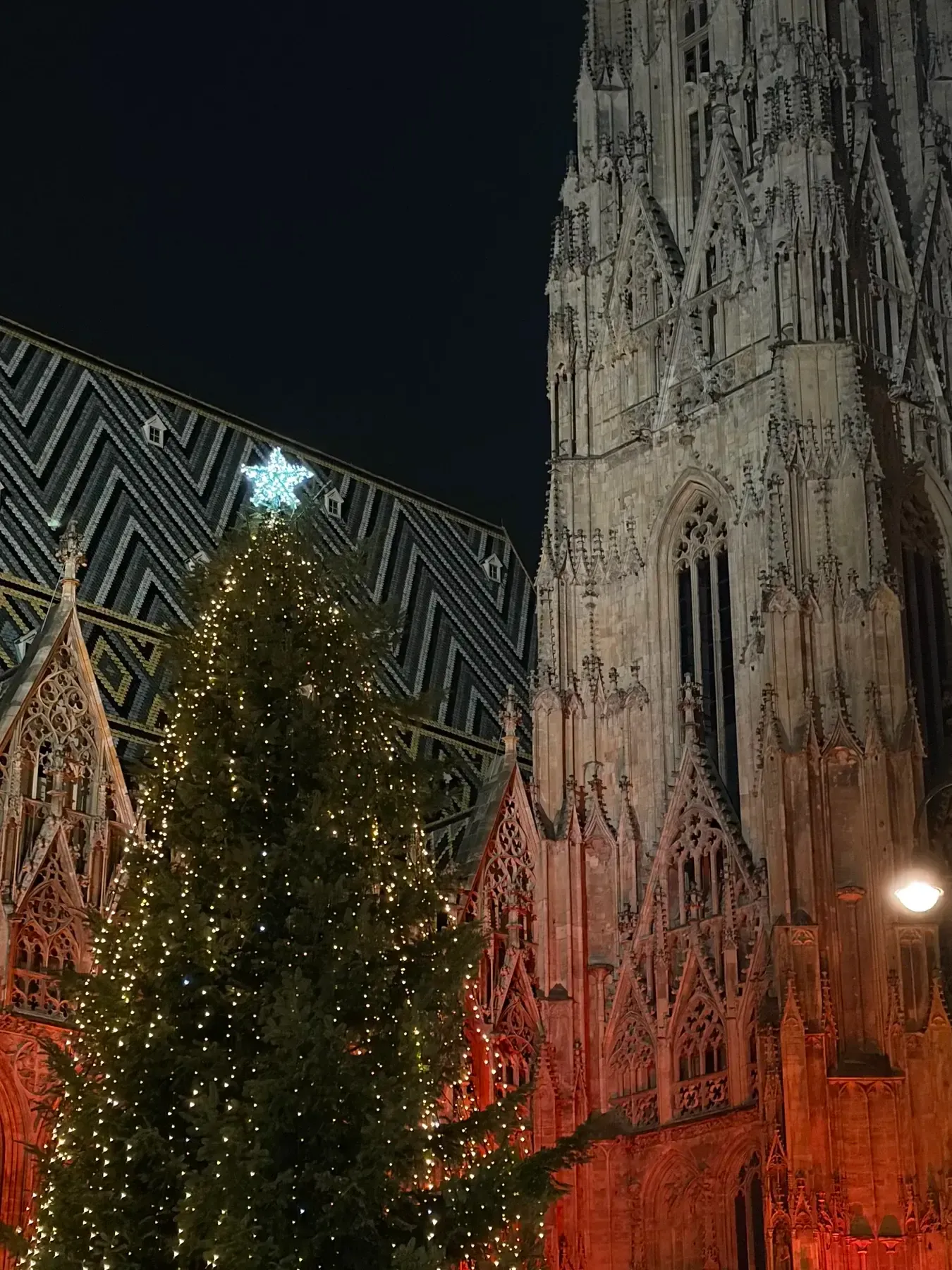 Christmas tree beside the south tower and patterned roof of Stephansdom
