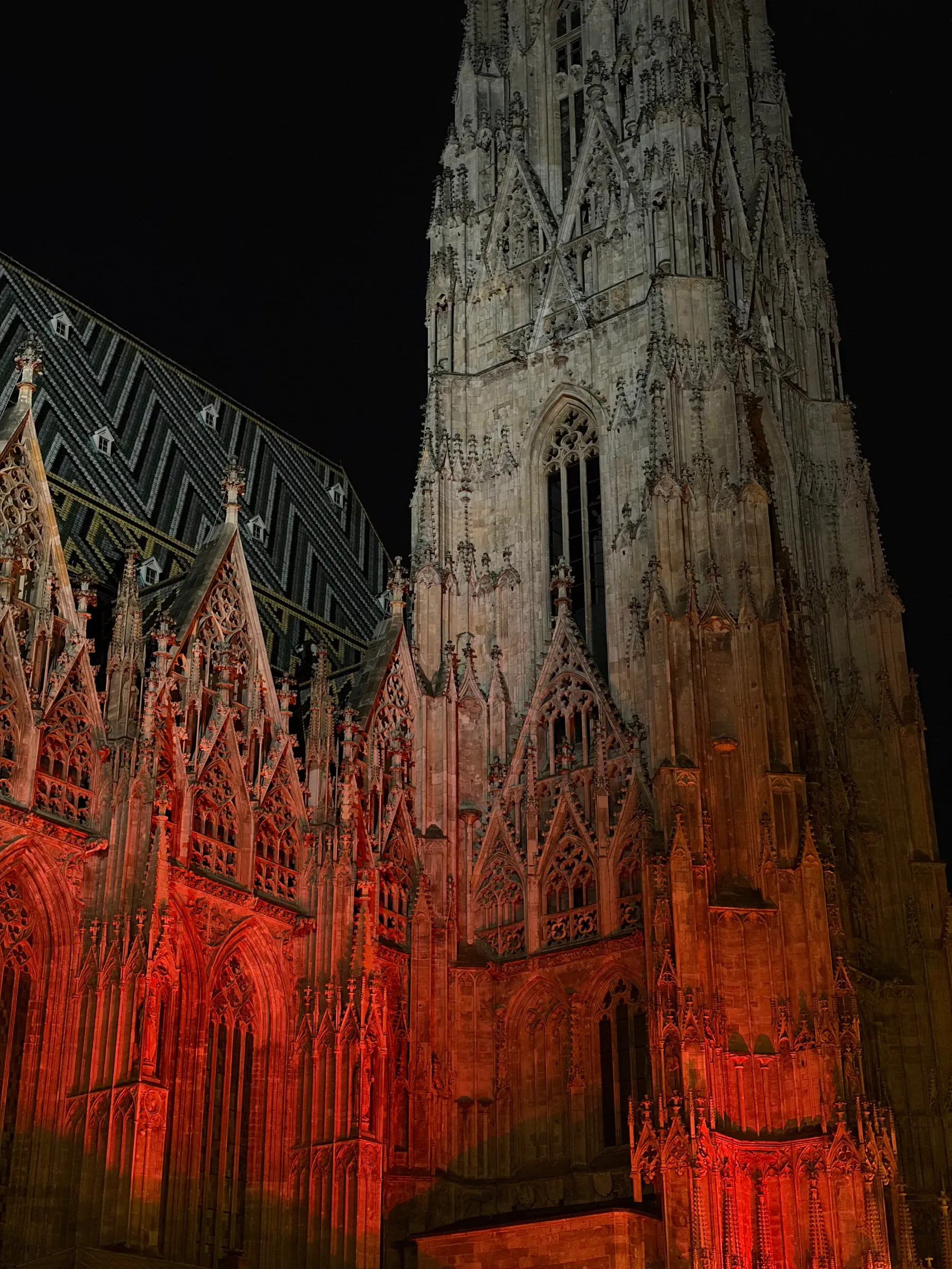 Stephansdom tower and roof illuminated red at night