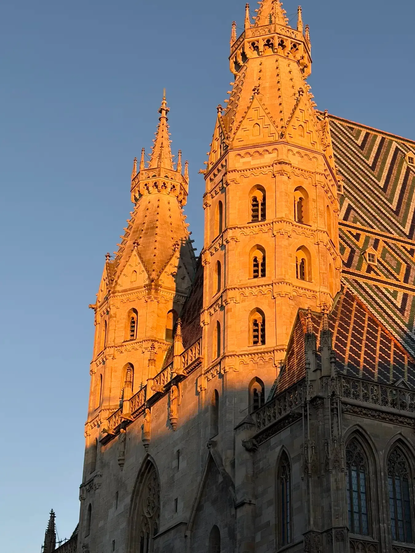 Stephansdom roof tiles and twin towers in warm evening light