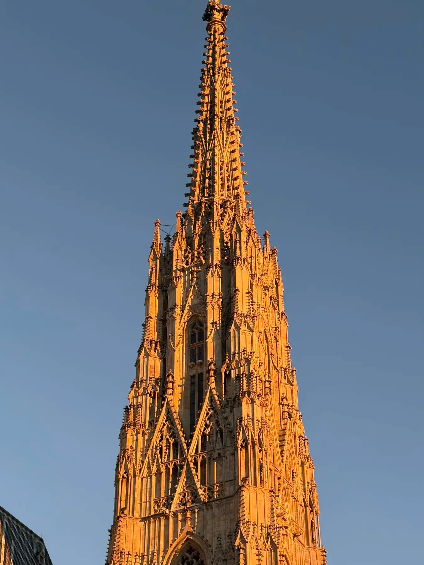 Stephansdom south tower against a clear evening sky
