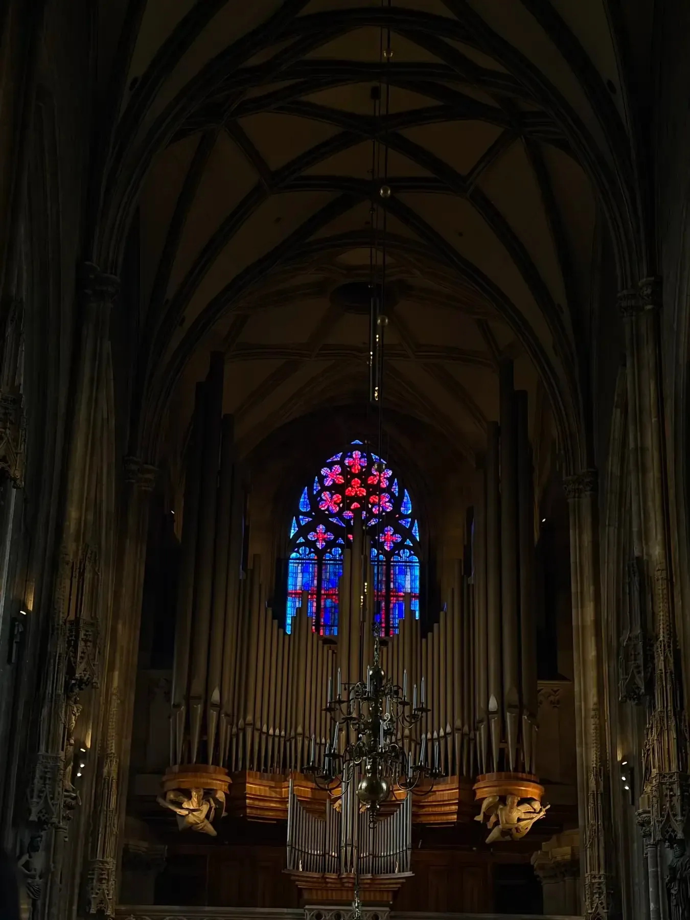 Organ loft and rose window inside Stephansdom